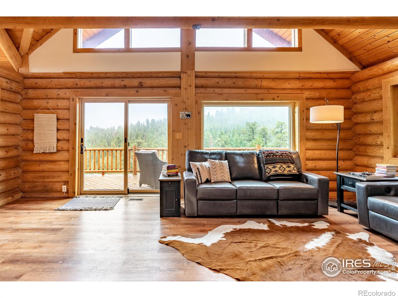 MLS Image #12 for 18  shady hollow,nederland, Colorado
