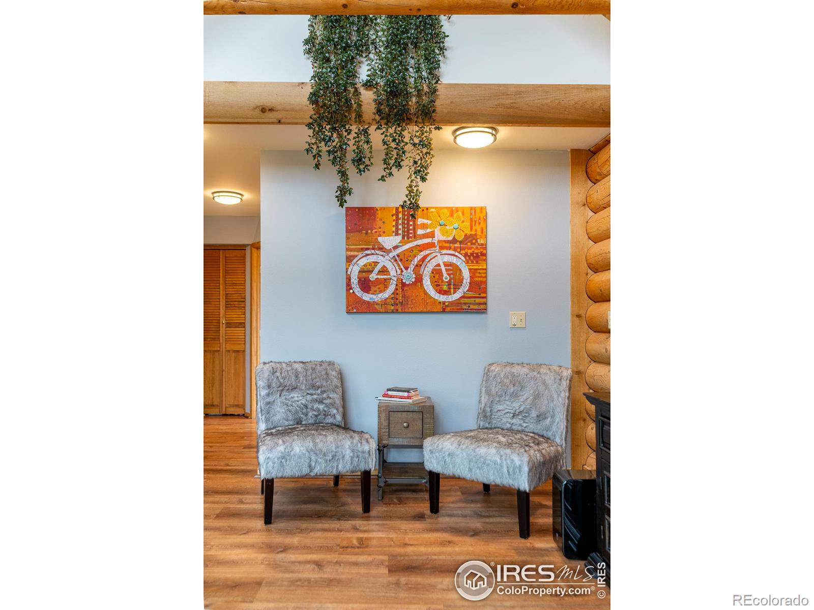 MLS Image #15 for 18  shady hollow,nederland, Colorado