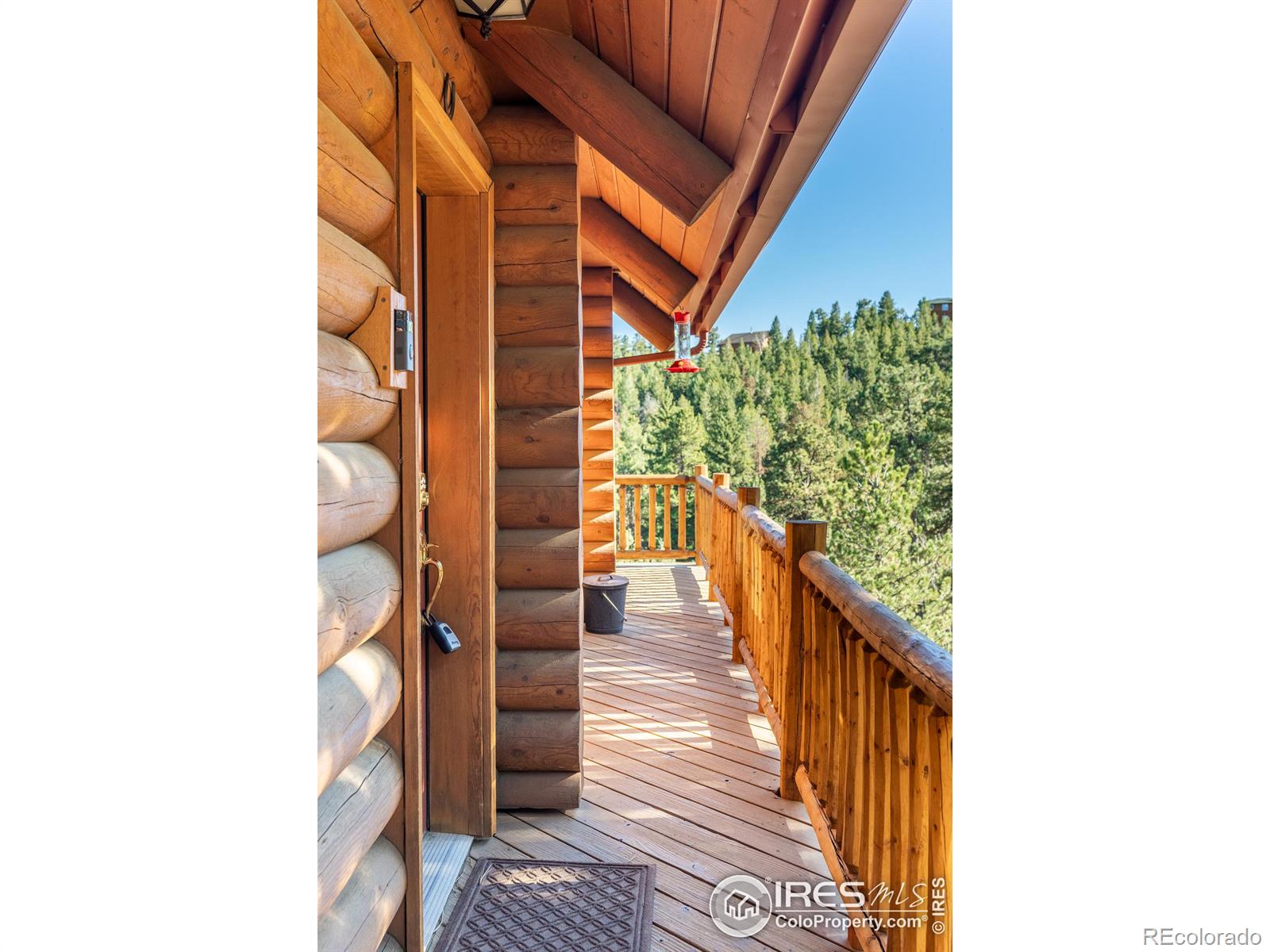 MLS Image #25 for 18  shady hollow,nederland, Colorado