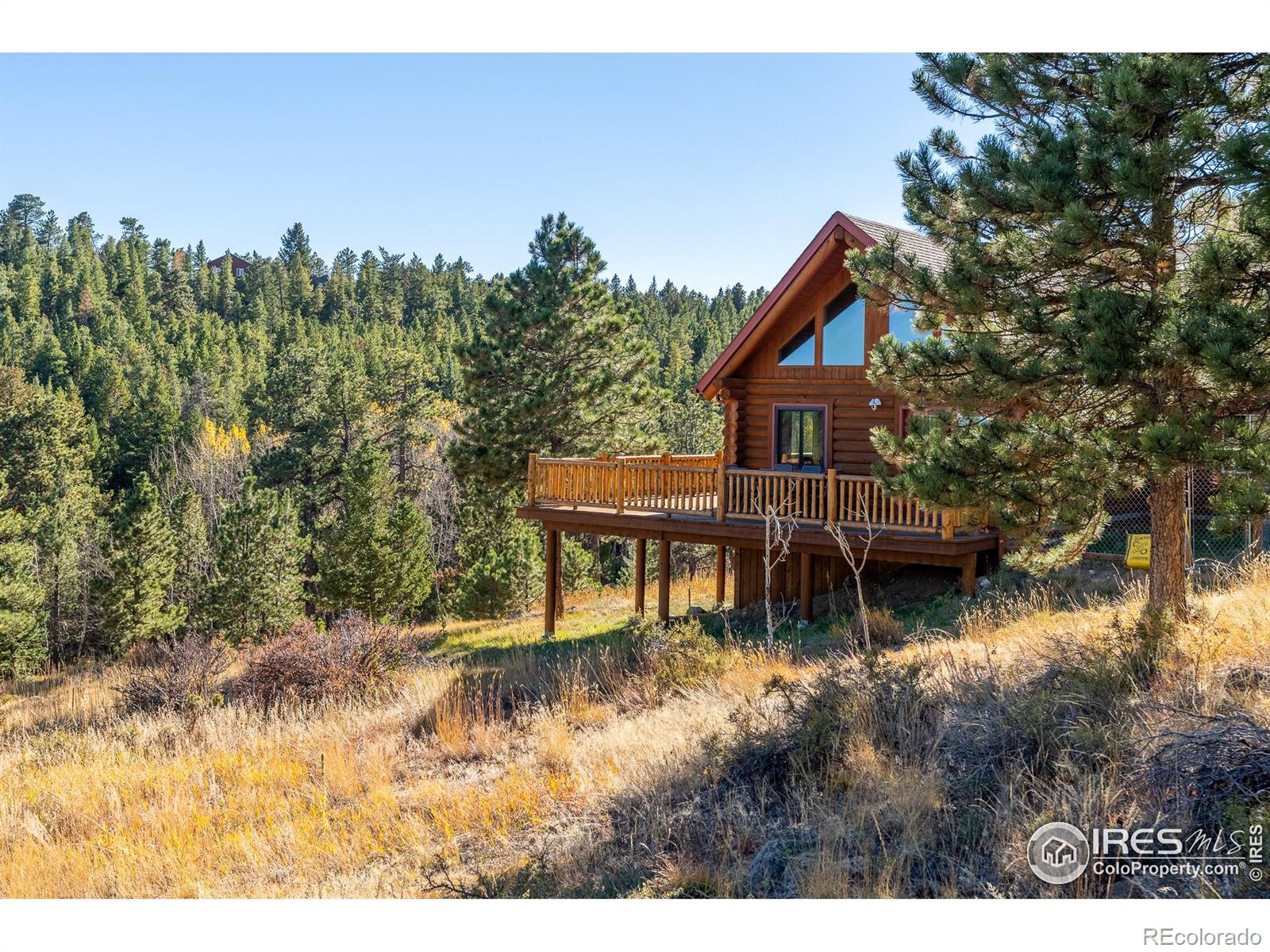 MLS Image #27 for 18  shady hollow,nederland, Colorado