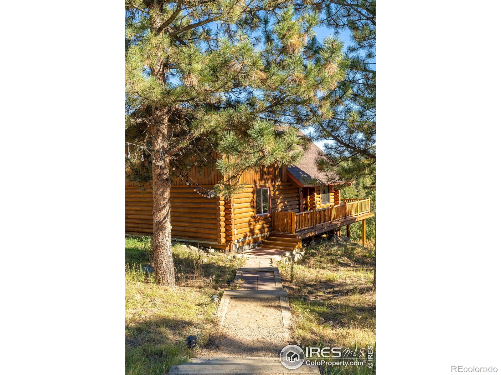 MLS Image #31 for 18  shady hollow,nederland, Colorado
