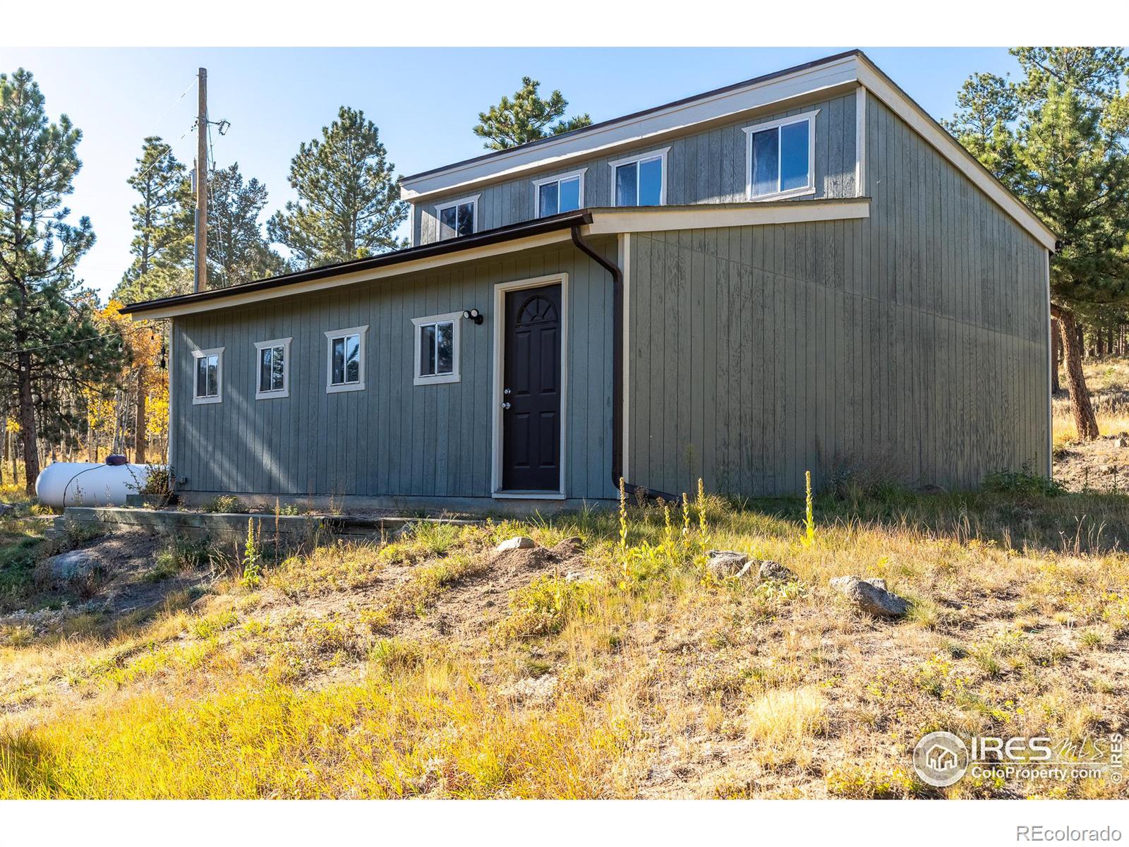MLS Image #33 for 18  shady hollow,nederland, Colorado