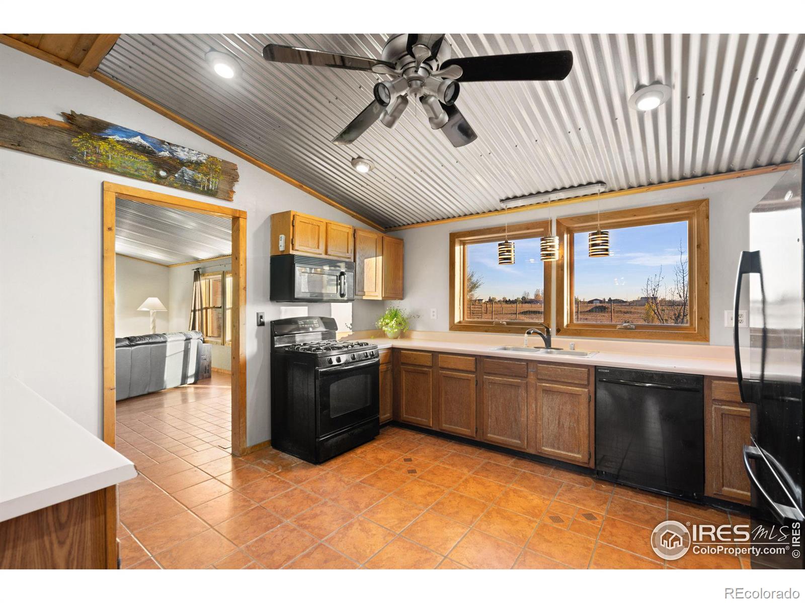 MLS Image #11 for 12832  appaloosa avenue,wellington, Colorado