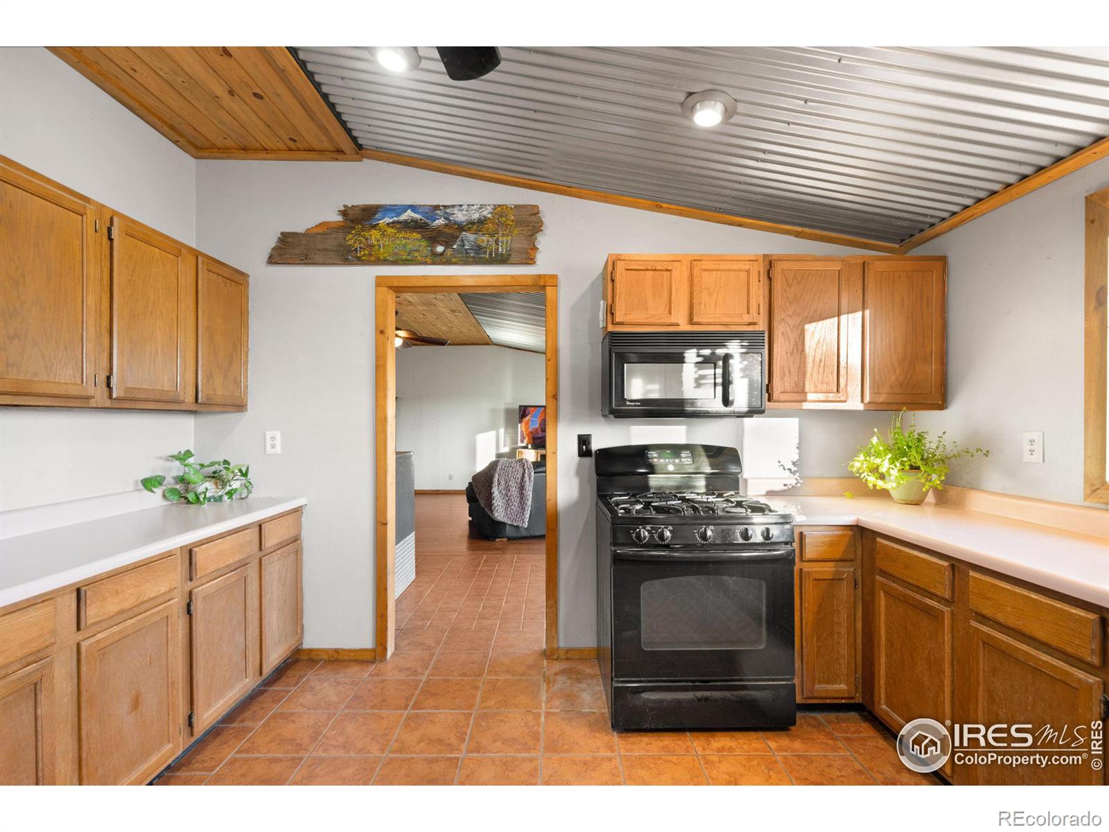 MLS Image #12 for 12832  appaloosa avenue,wellington, Colorado