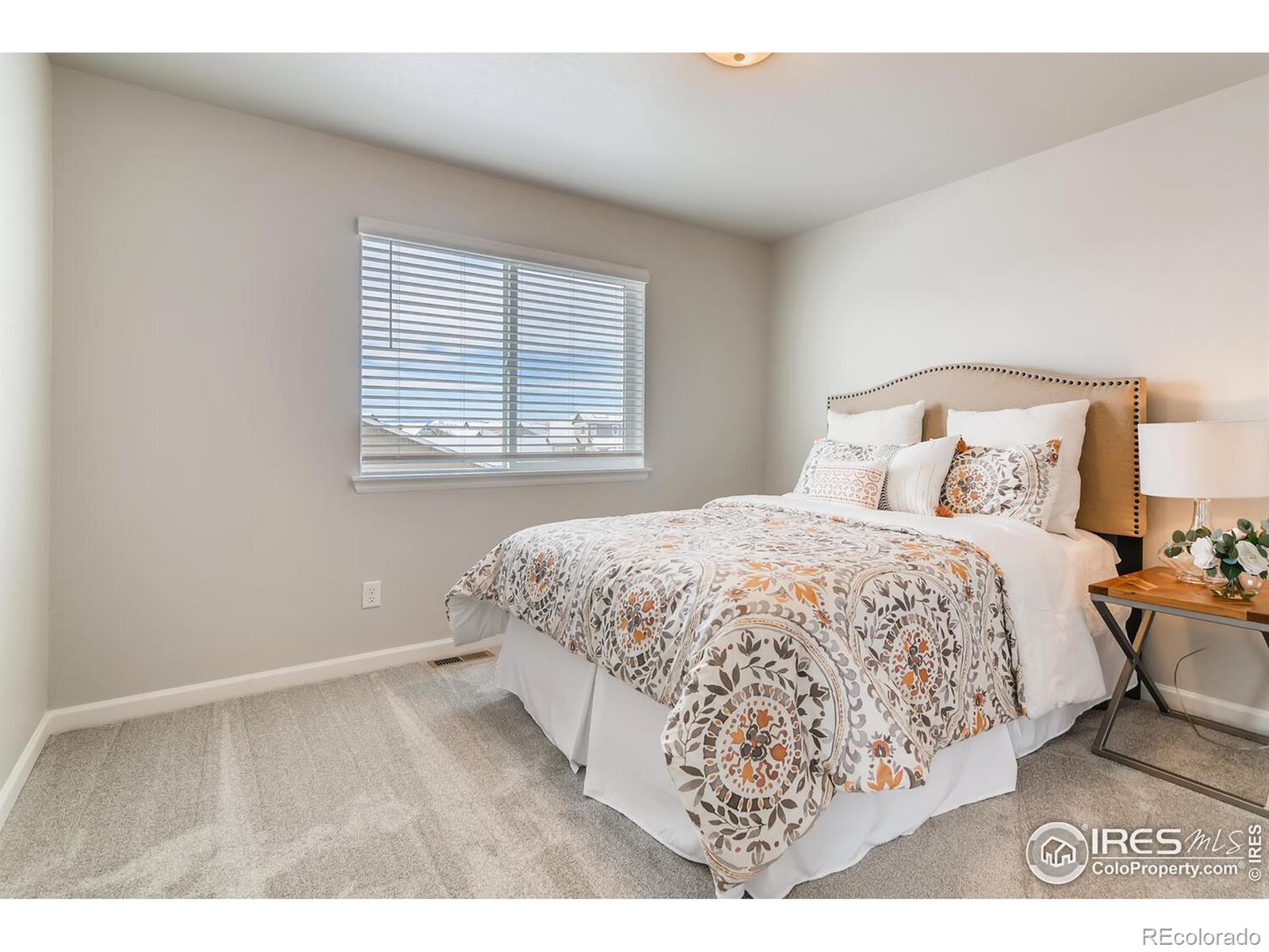 MLS Image #20 for 691  hillspire drive,windsor, Colorado