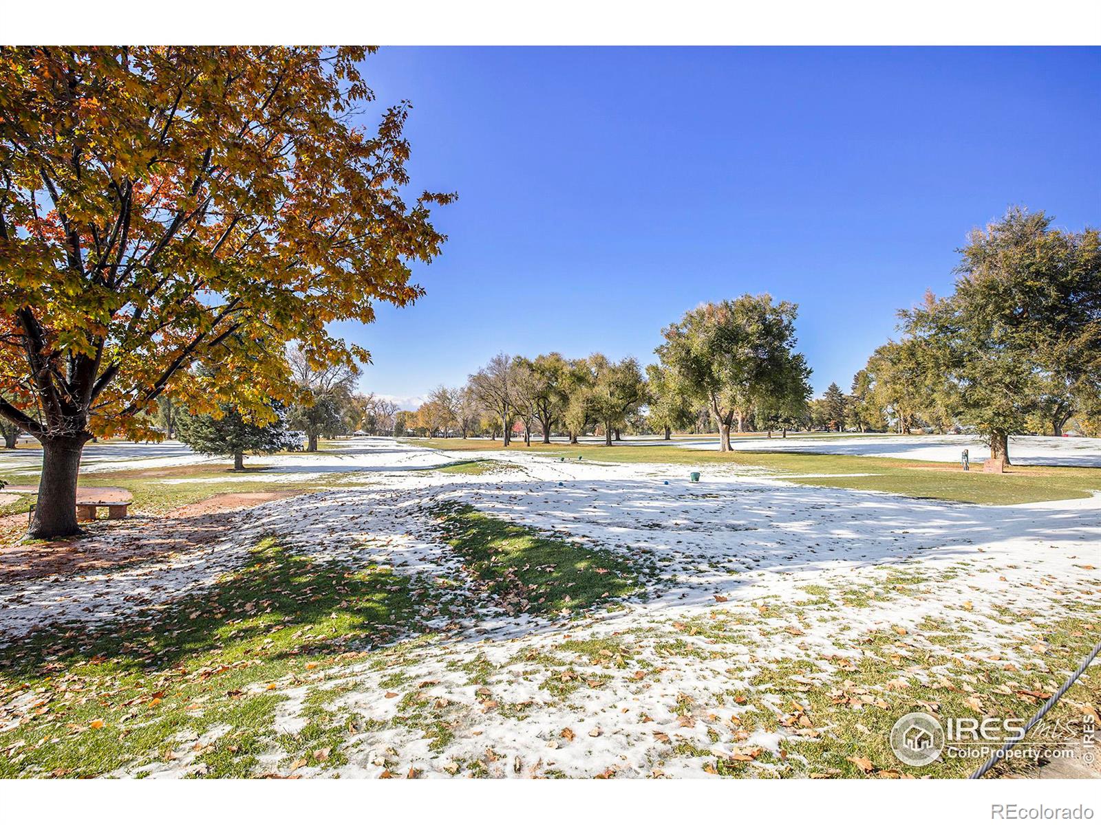 MLS Image #22 for 312  sunset street,longmont, Colorado