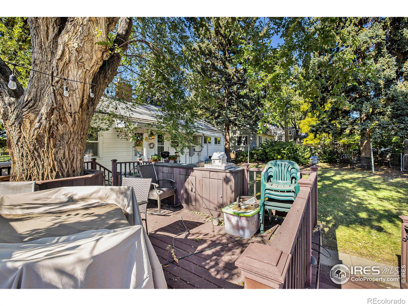 MLS Image #24 for 312  sunset street,longmont, Colorado