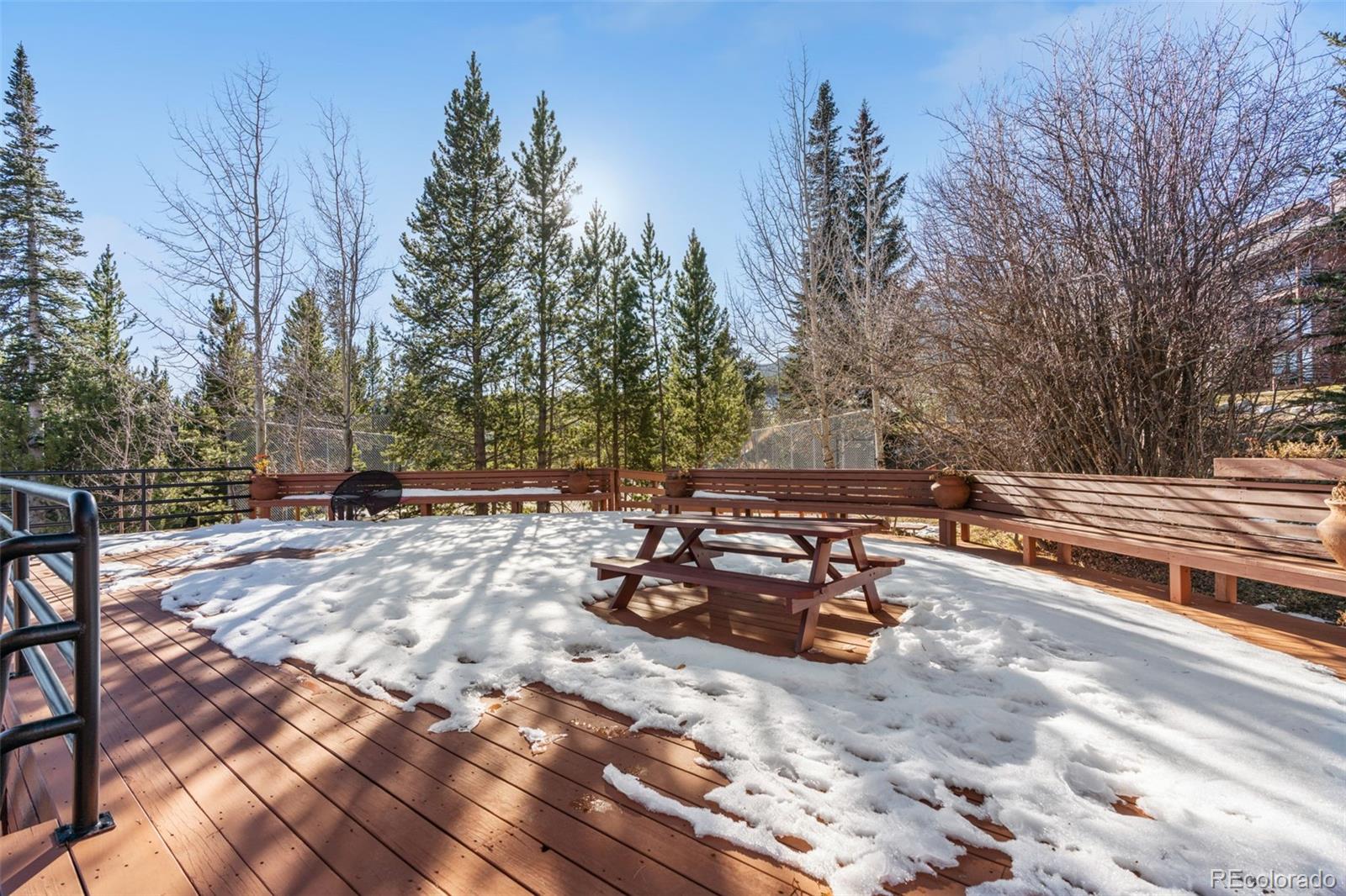 MLS Image #24 for 91100  ryan gulch road,silverthorne, Colorado