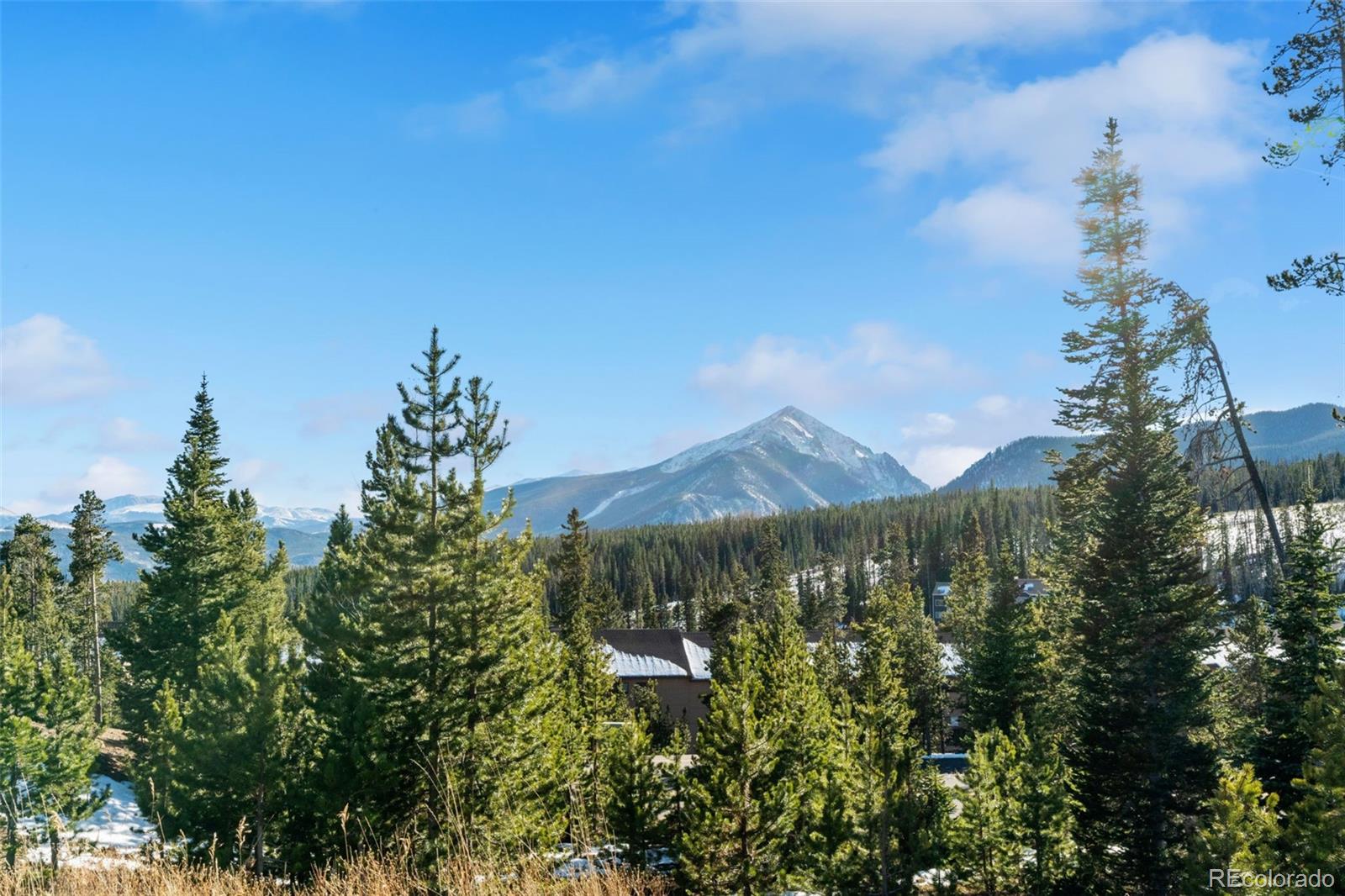 MLS Image #32 for 91100  ryan gulch road,silverthorne, Colorado