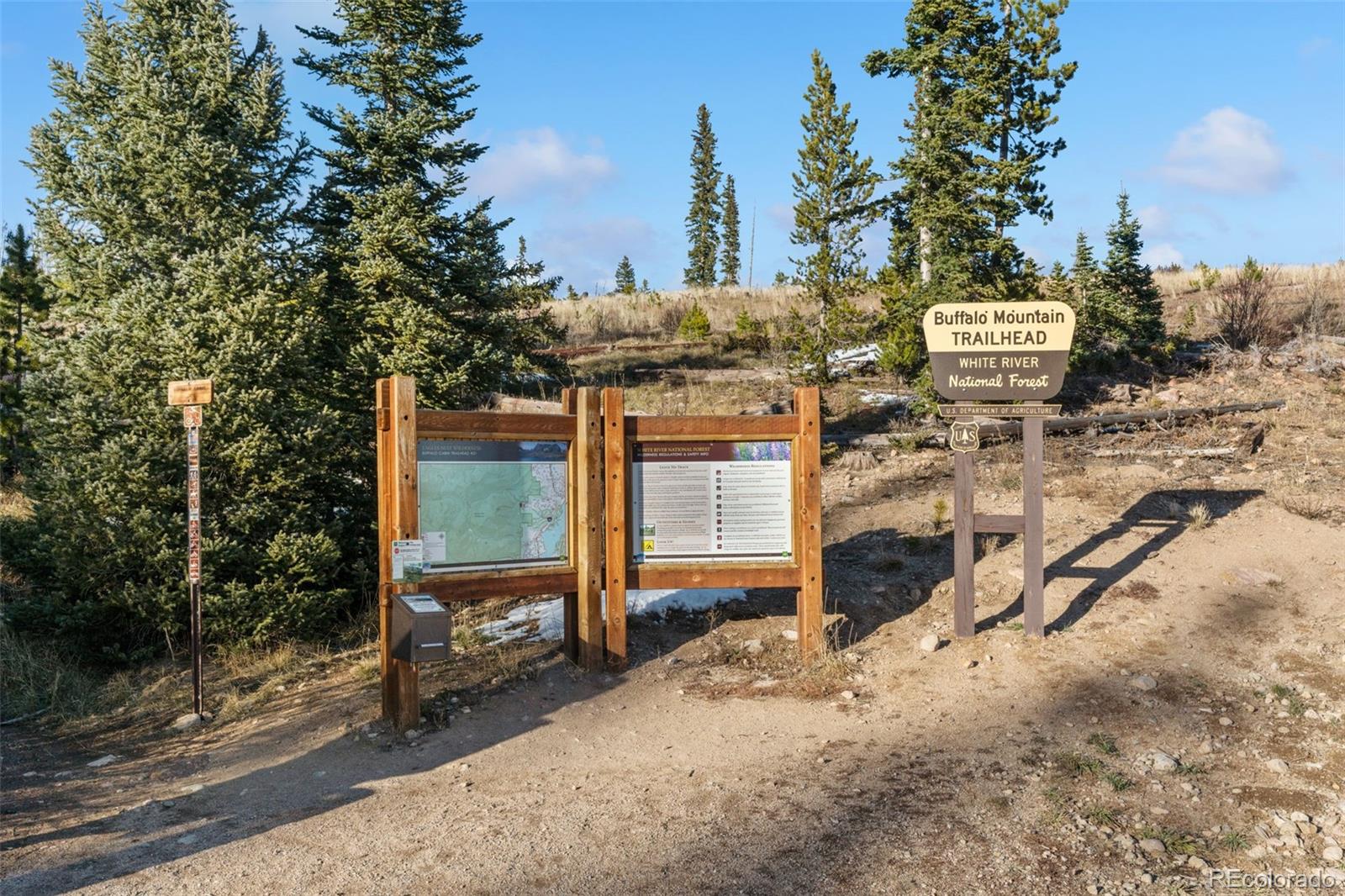MLS Image #33 for 91100  ryan gulch road,silverthorne, Colorado