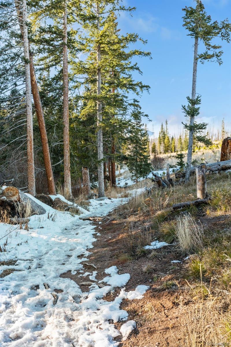 MLS Image #34 for 91100  ryan gulch road,silverthorne, Colorado