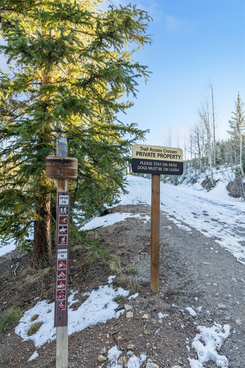 MLS Image #37 for 91100  ryan gulch road,silverthorne, Colorado