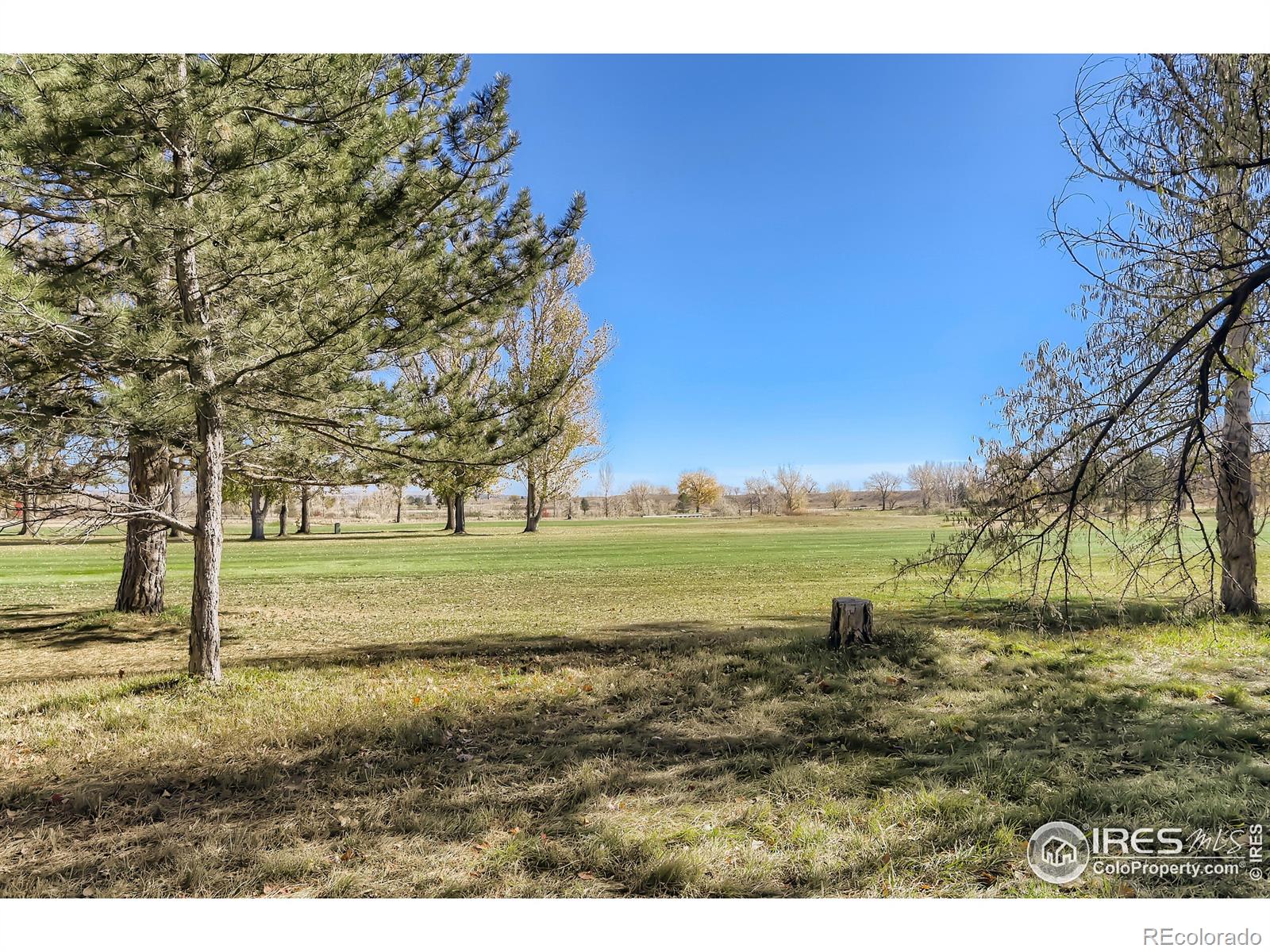 MLS Image #27 for 6406  eagle court,longmont, Colorado