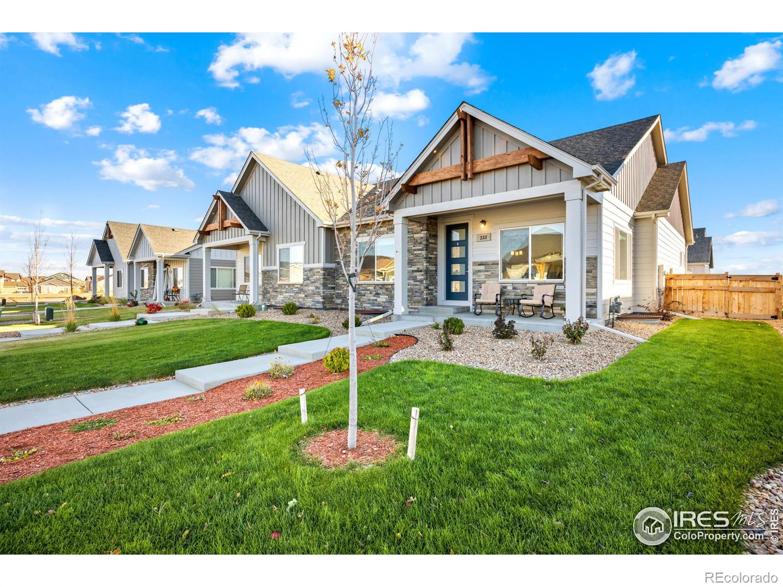 Report Image for 233  Turnberry Drive,Windsor, Colorado