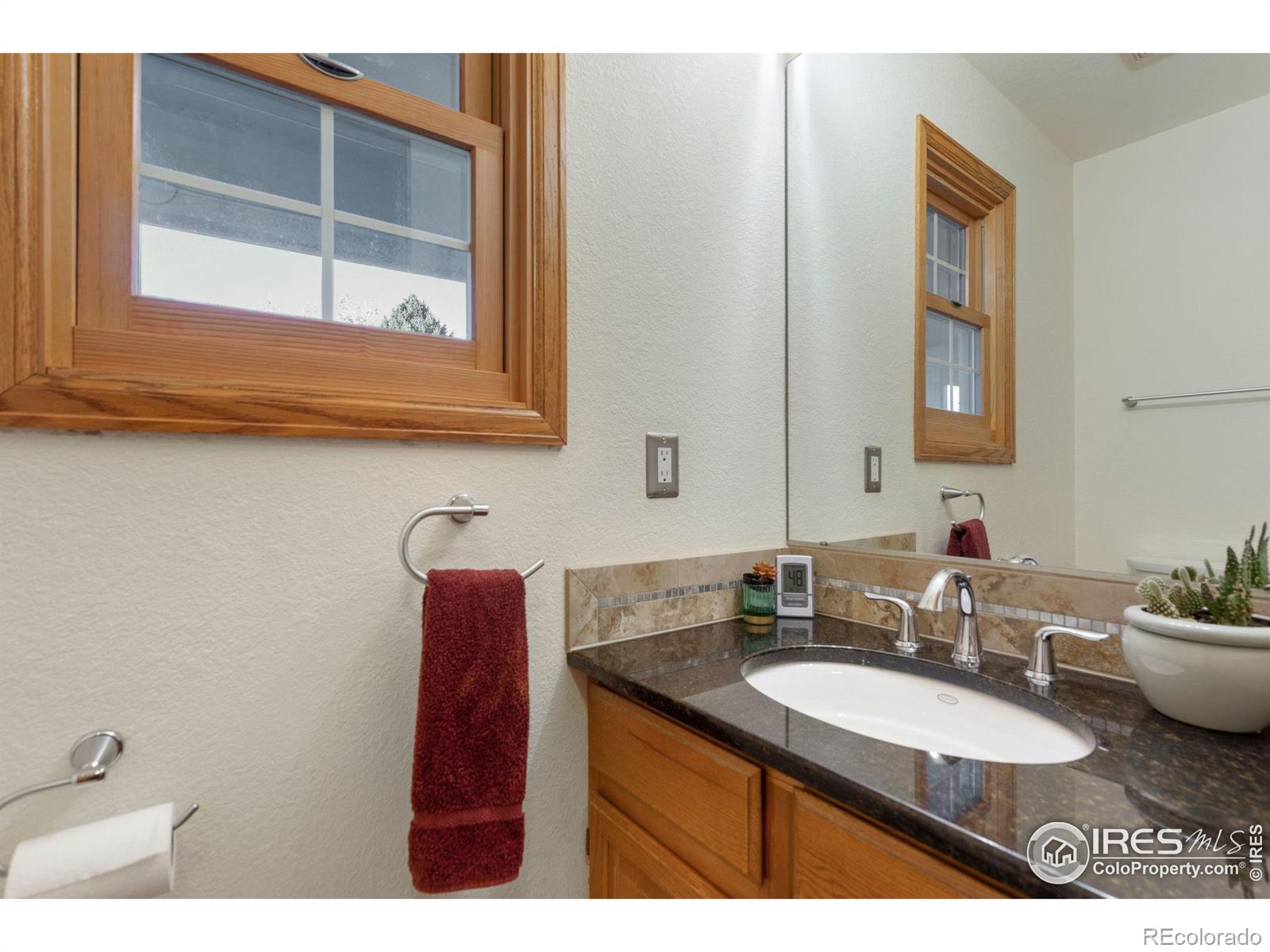 MLS Image #15 for 3013  ninebark drive,fort collins, Colorado