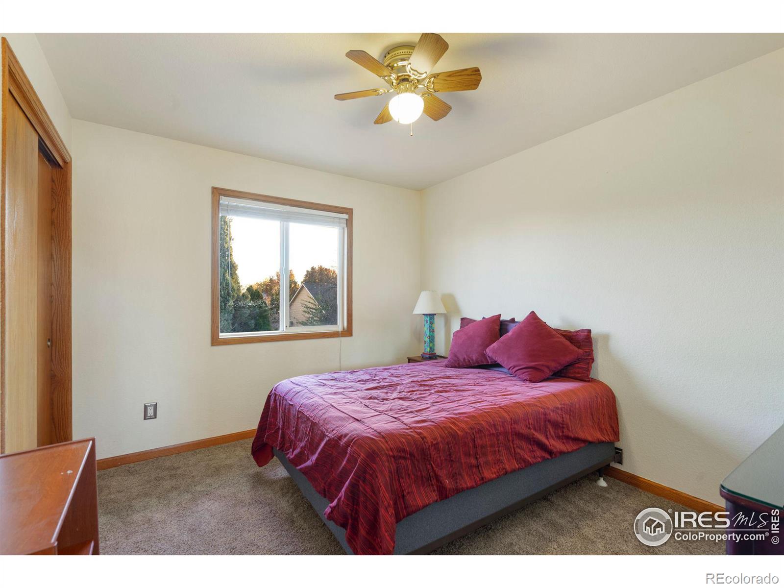 MLS Image #23 for 3013  ninebark drive,fort collins, Colorado