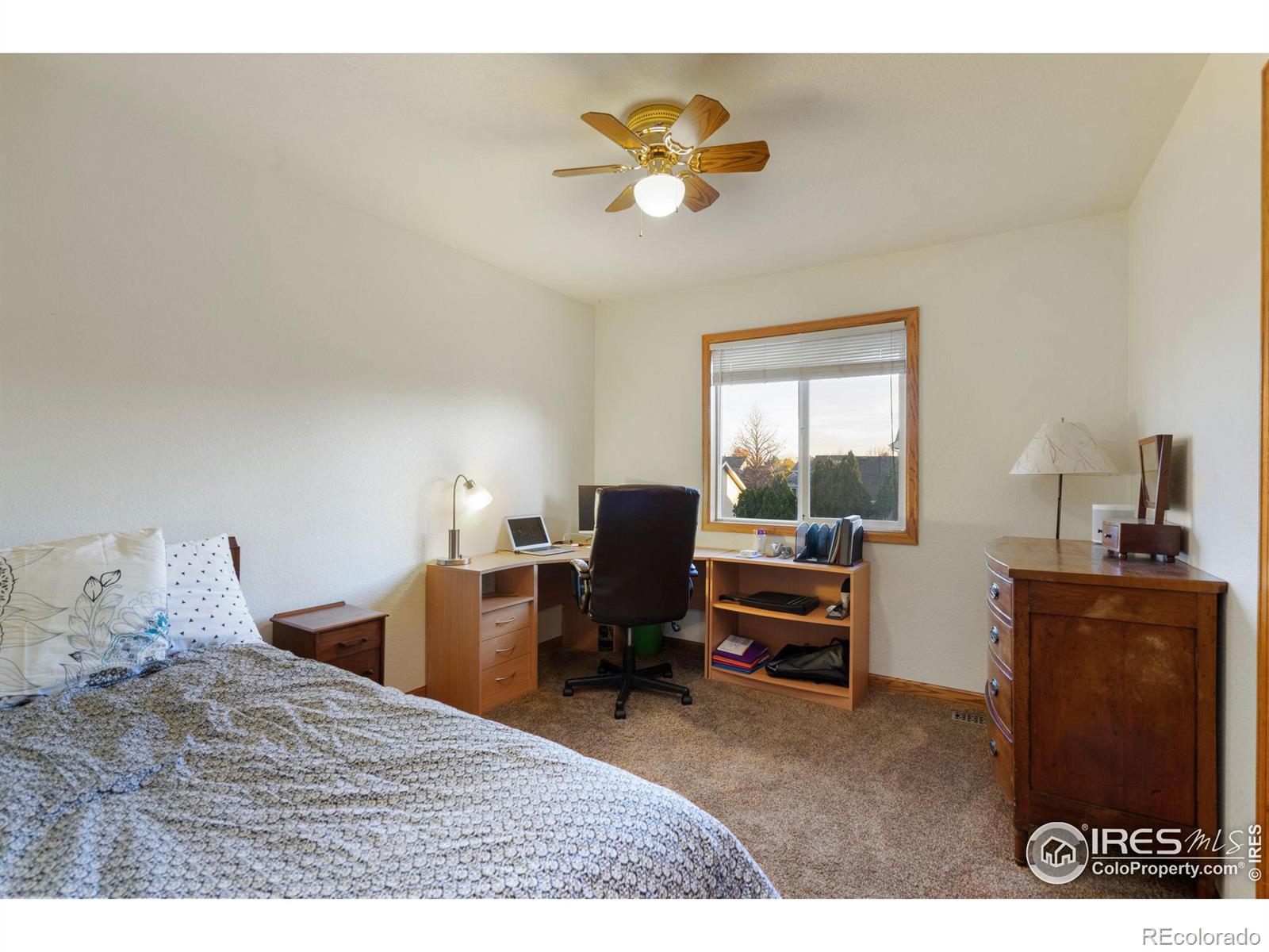 MLS Image #26 for 3013  ninebark drive,fort collins, Colorado