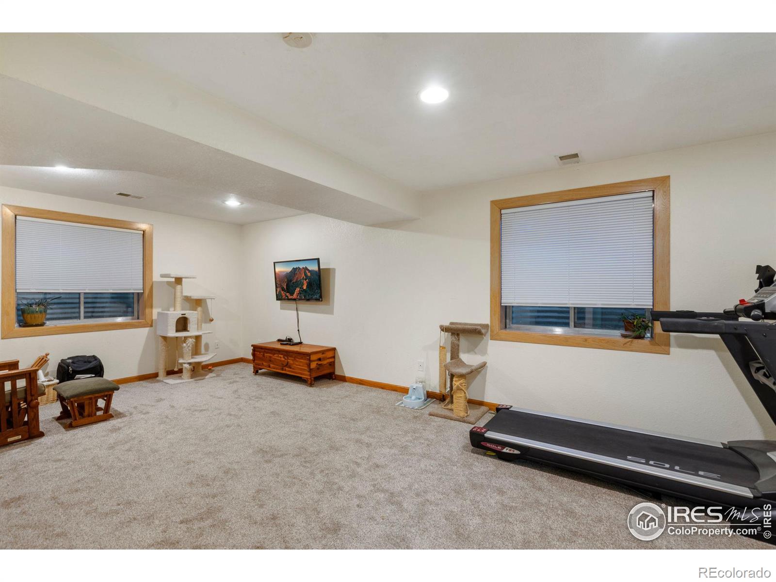 MLS Image #29 for 3013  ninebark drive,fort collins, Colorado