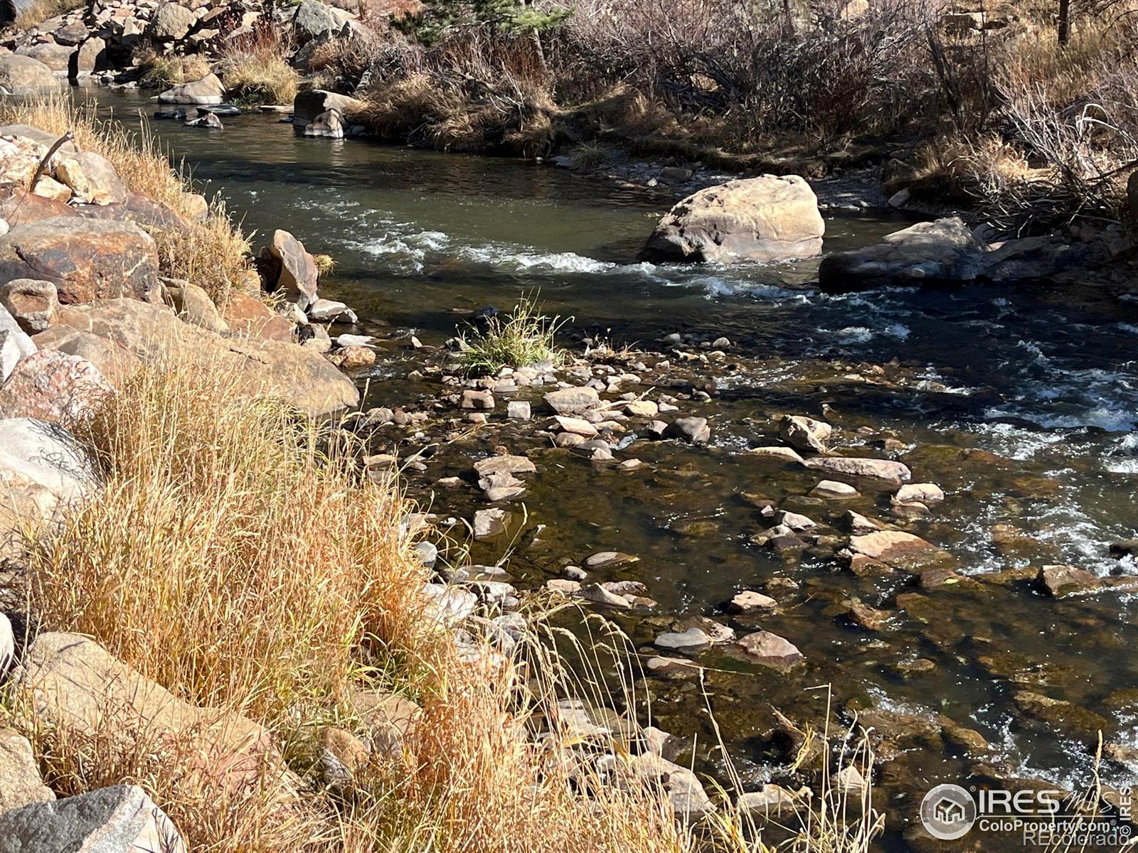 MLS Image #3 for 197  rock canyon road,drake, Colorado