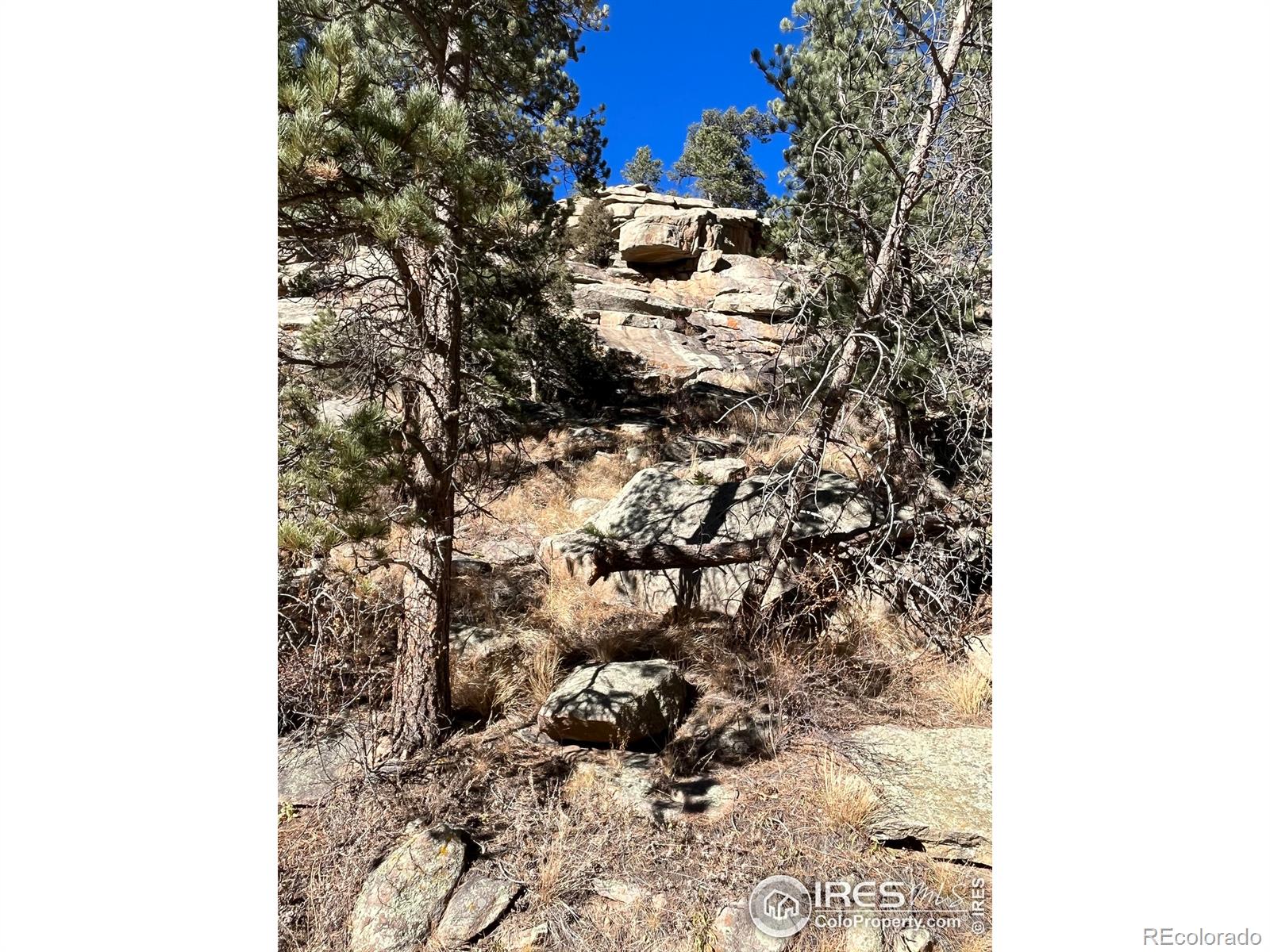 MLS Image #34 for 197  rock canyon road,drake, Colorado