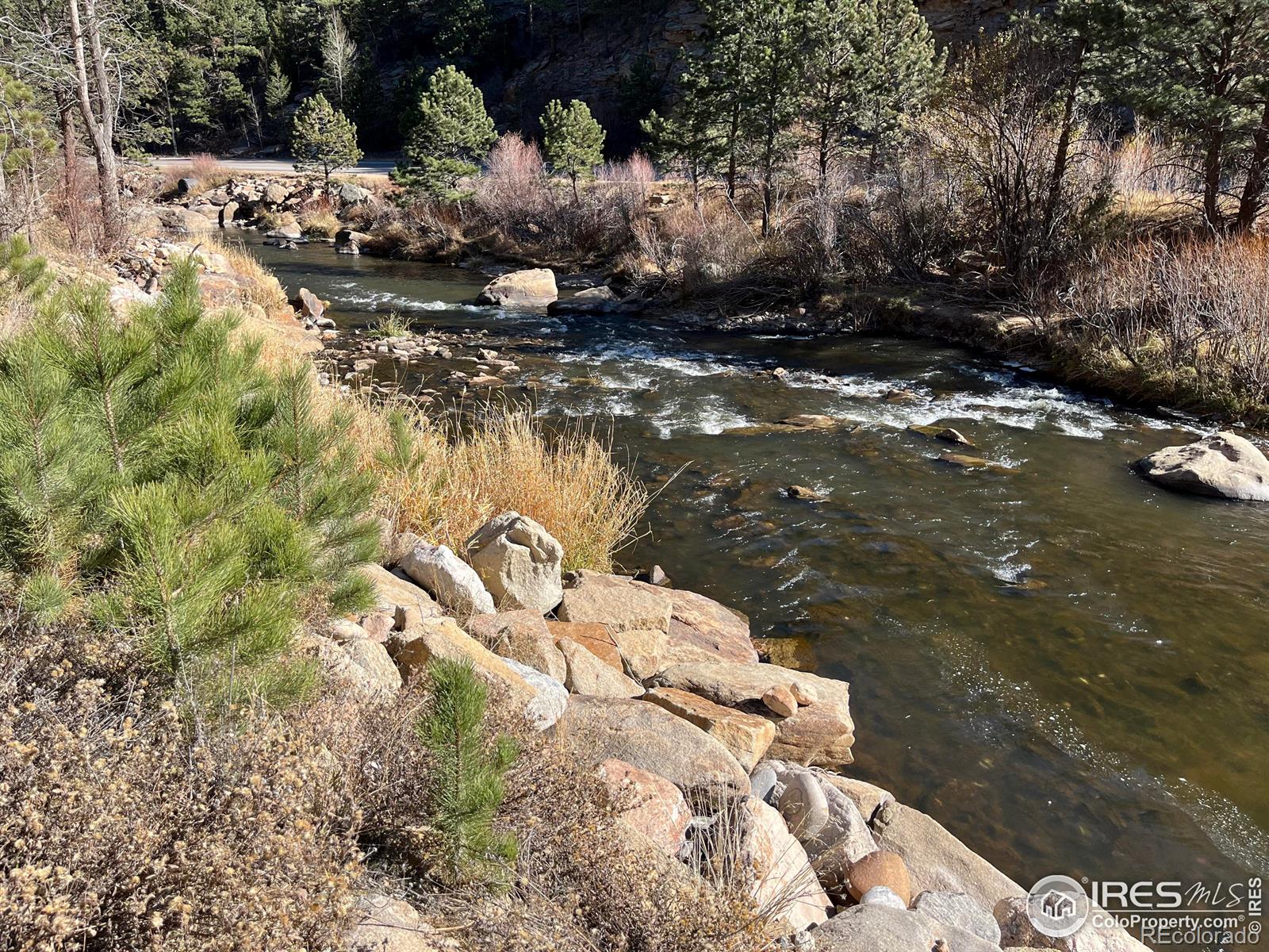 MLS Image #4 for 197  rock canyon road,drake, Colorado