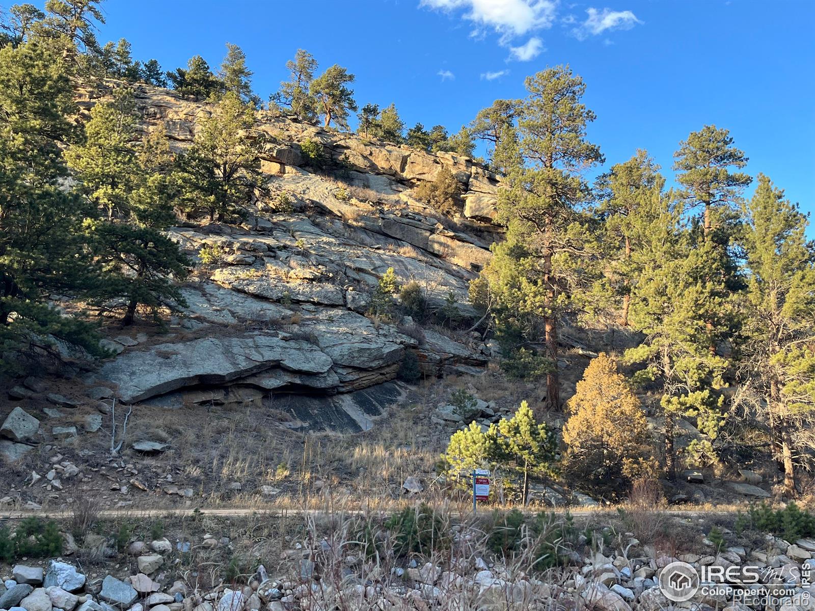 MLS Image #5 for 197  rock canyon road,drake, Colorado