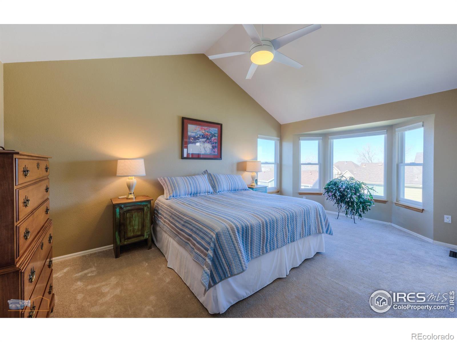 MLS Image #12 for 207  breckenridge trail,broomfield, Colorado