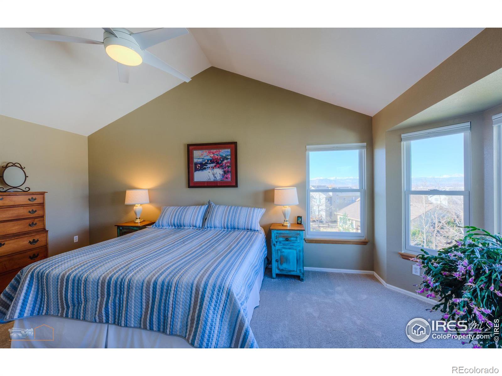 MLS Image #13 for 207  breckenridge trail,broomfield, Colorado