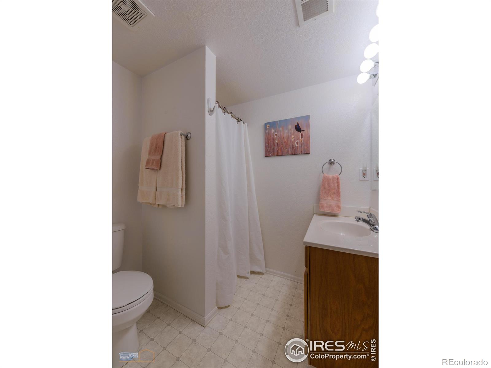 MLS Image #23 for 207  breckenridge trail,broomfield, Colorado