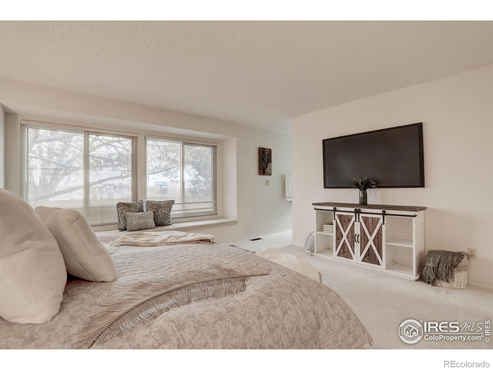 MLS Image #18 for 6186 s urban street,littleton, Colorado