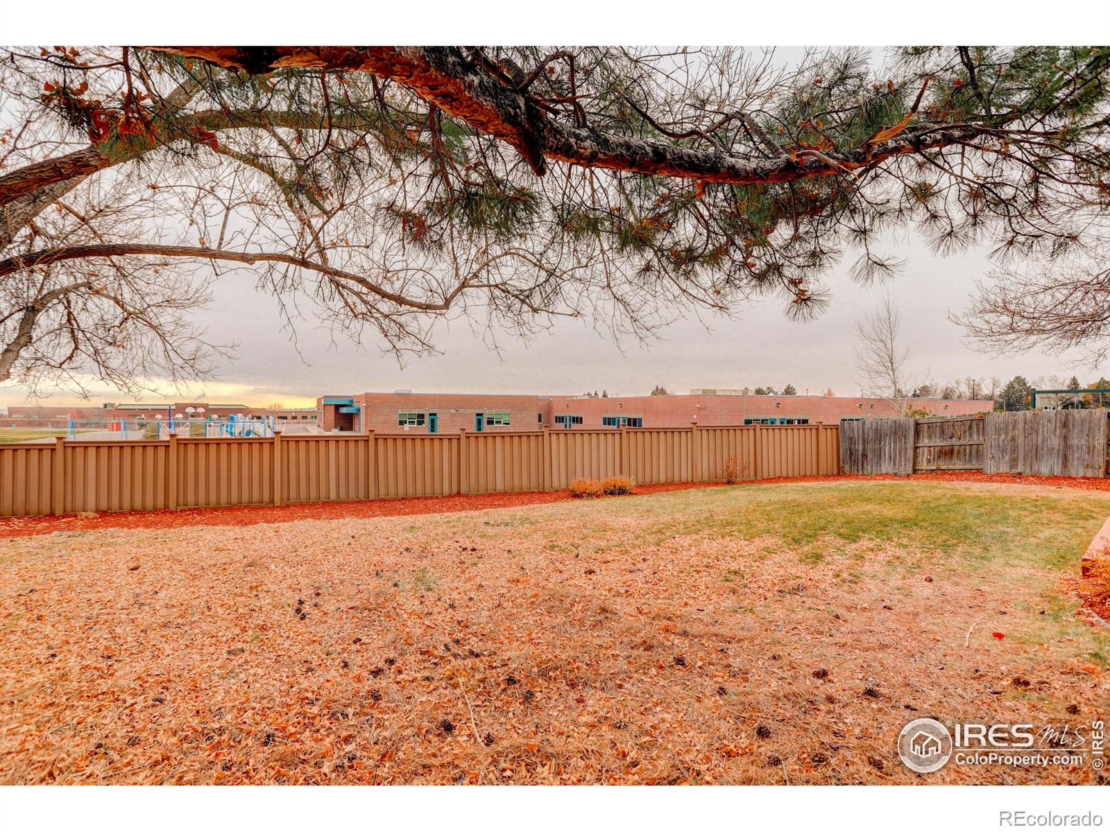 MLS Image #27 for 6186 s urban street,littleton, Colorado