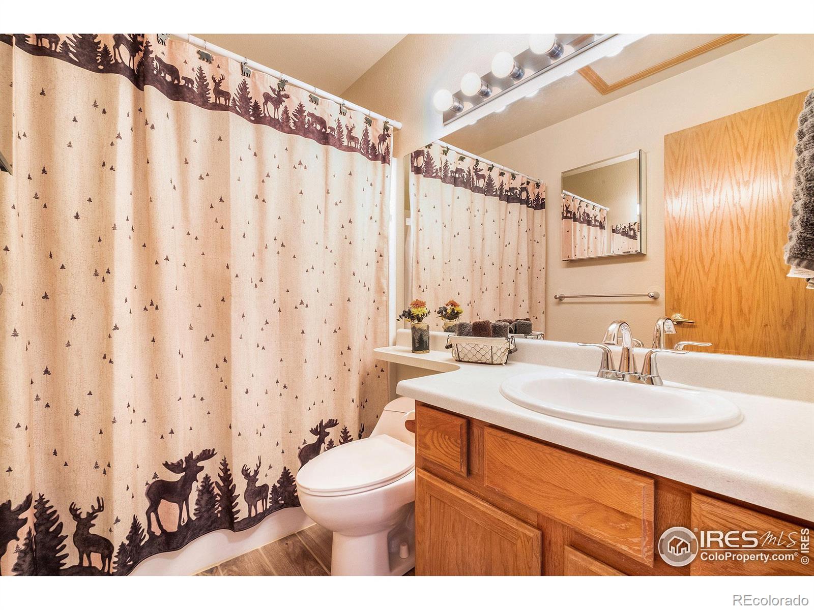 MLS Image #17 for 1437  raven circle,estes park, Colorado