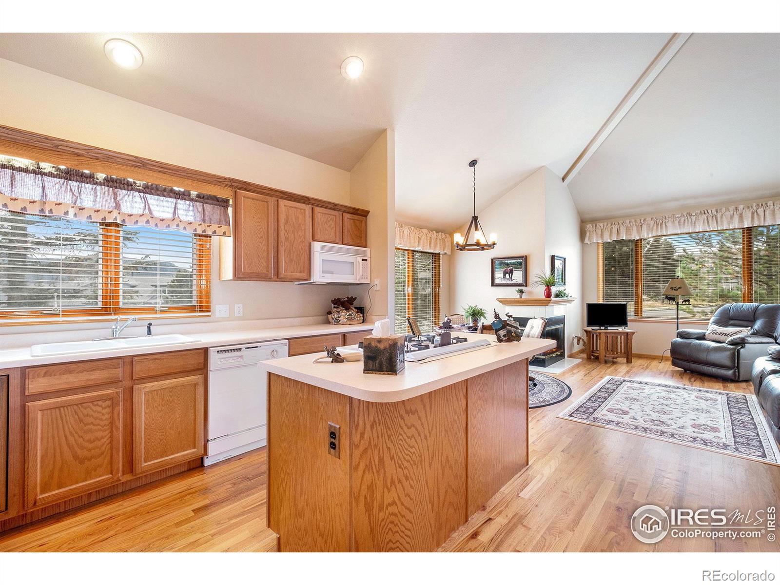 MLS Image #3 for 1437  raven circle,estes park, Colorado