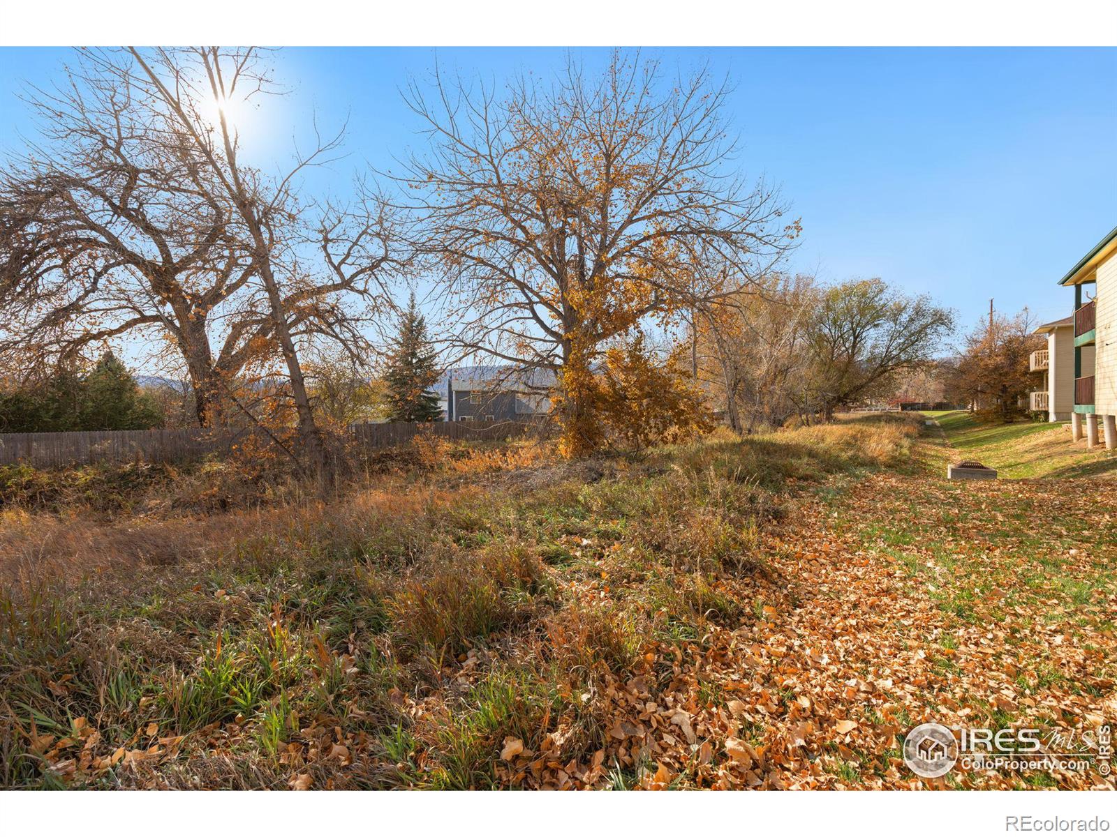 MLS Image #14 for 1048  tierra lane,fort collins, Colorado