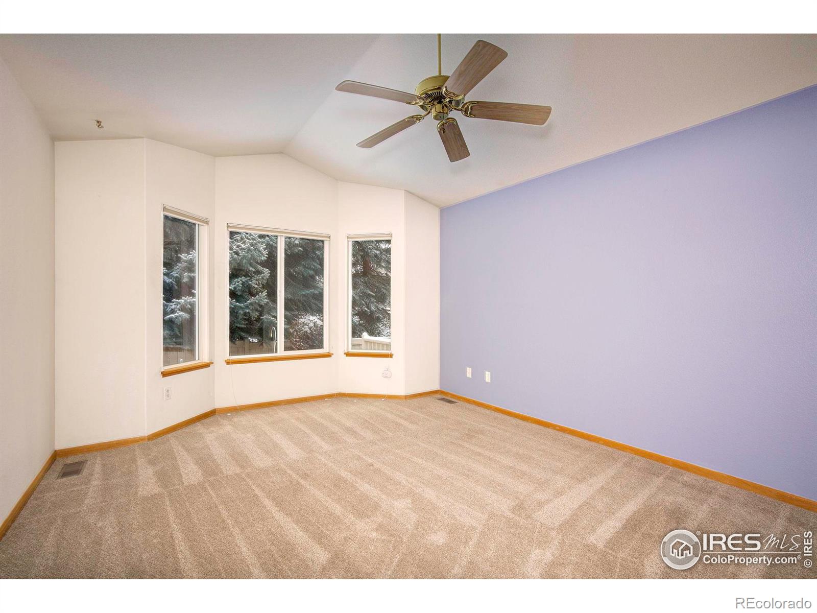 MLS Image #18 for 3500  swanstone drive,fort collins, Colorado