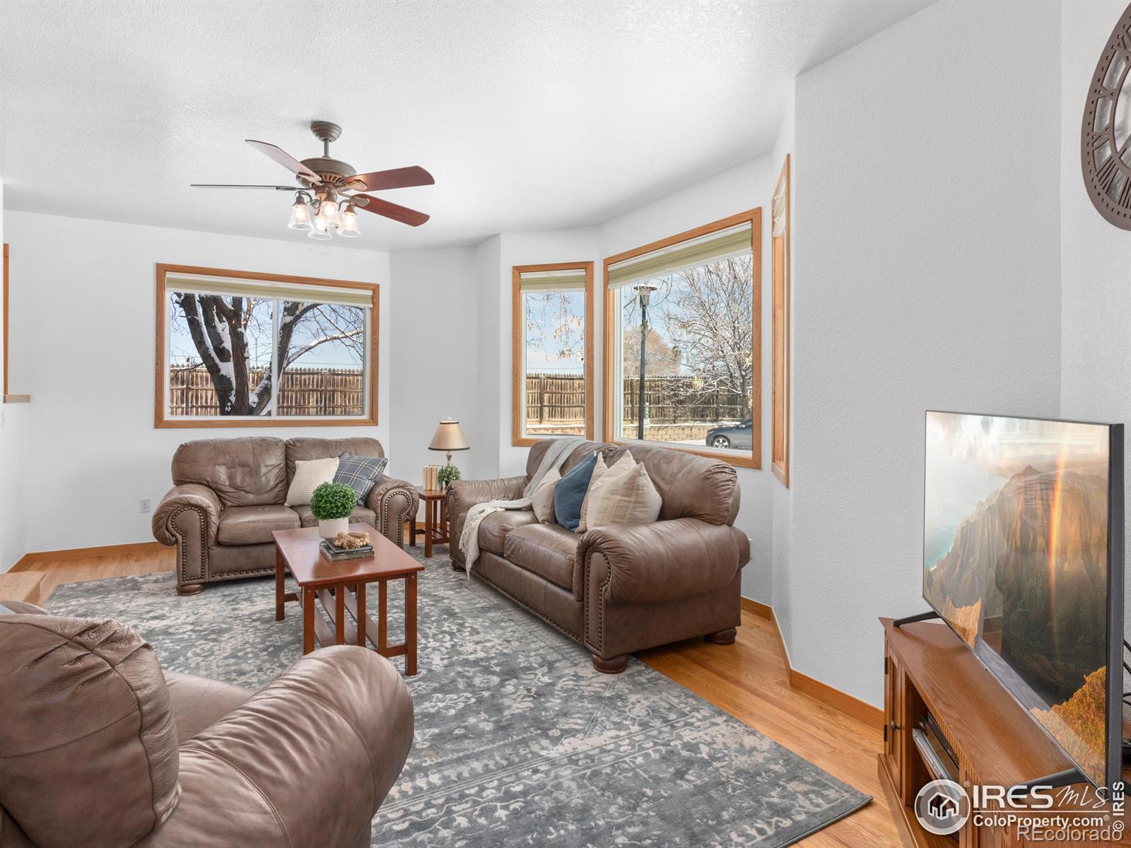 MLS Image #4 for 2437  maplewood circle,longmont, Colorado