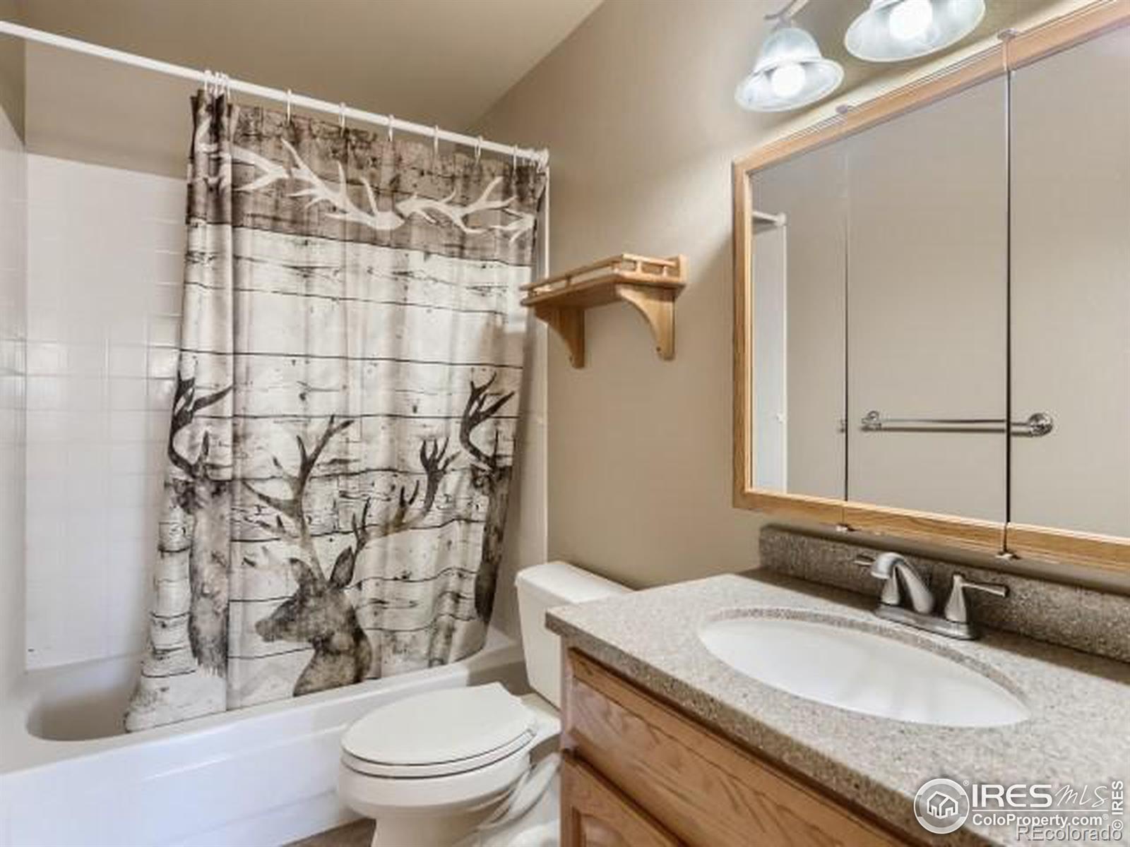 MLS Image #13 for 804  essex drive,loveland, Colorado