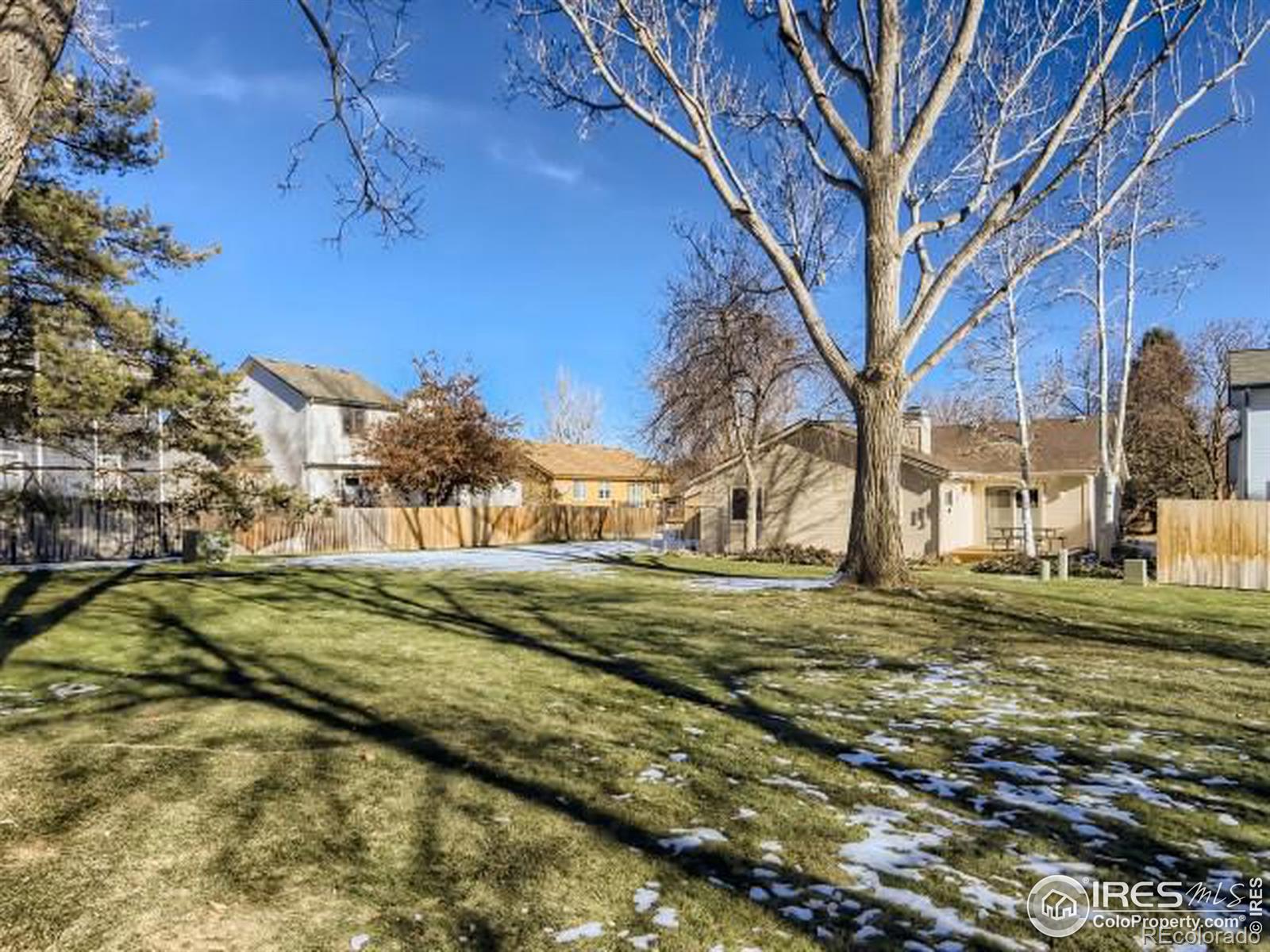 MLS Image #24 for 804  essex drive,loveland, Colorado