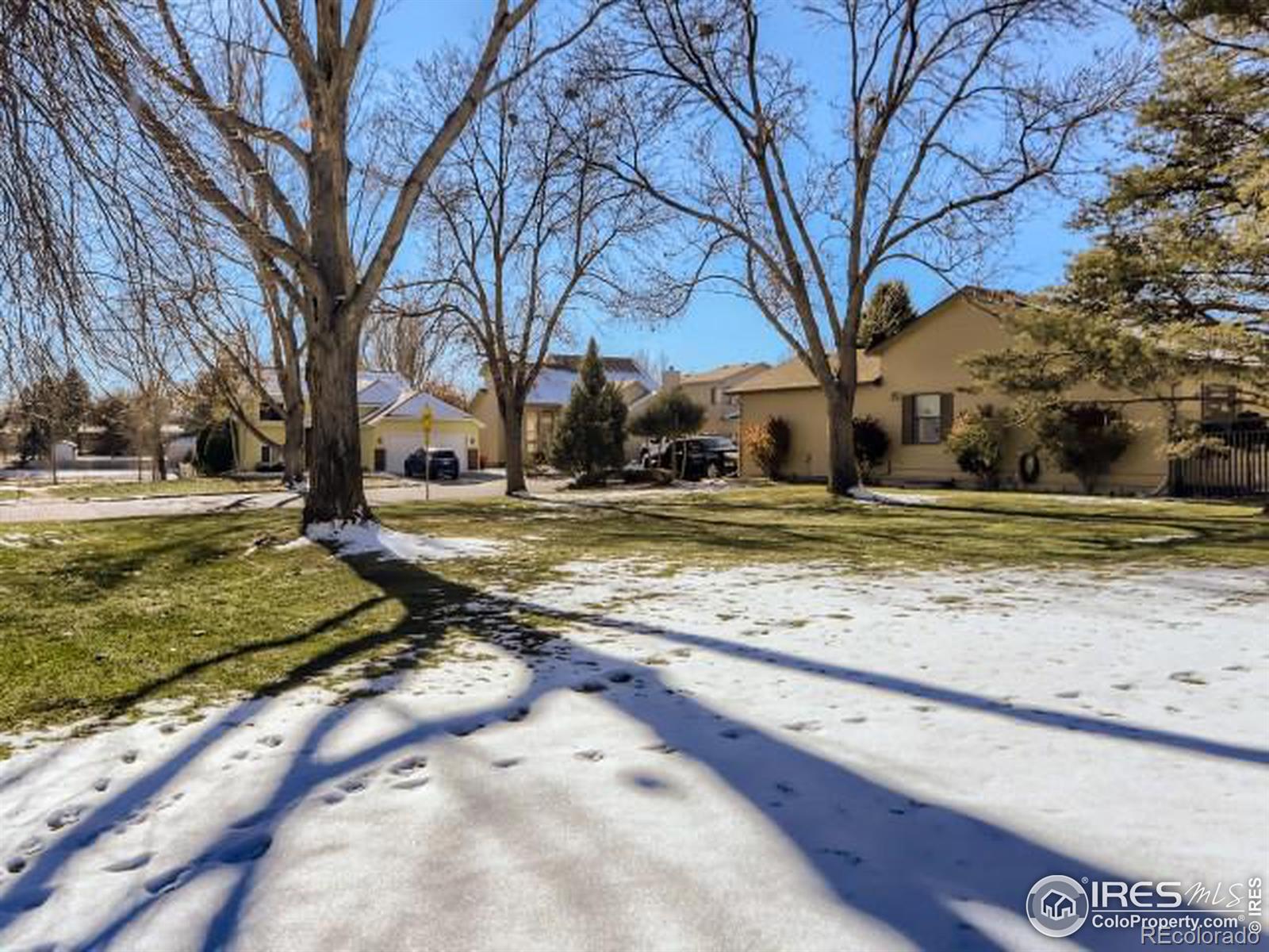 MLS Image #26 for 804  essex drive,loveland, Colorado