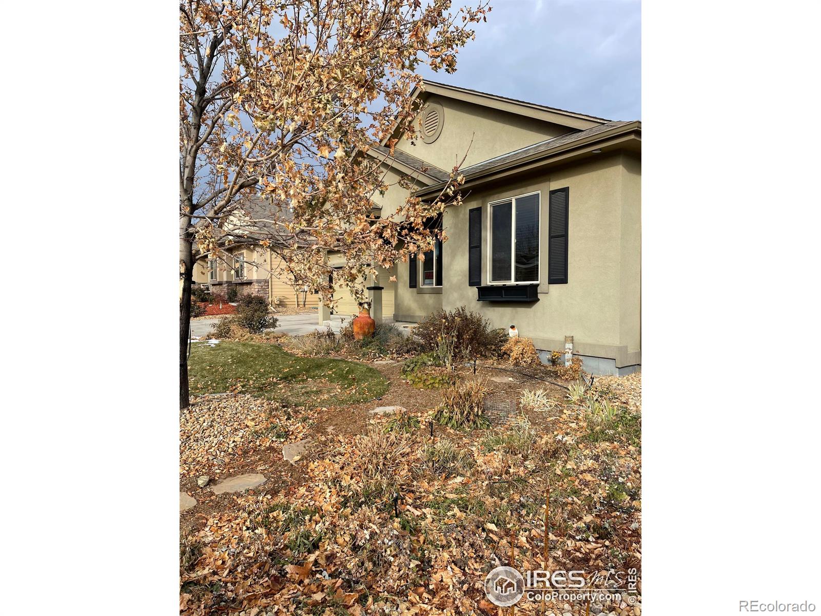 CMA Image for 855  Norway Maple Drive,Loveland, Colorado