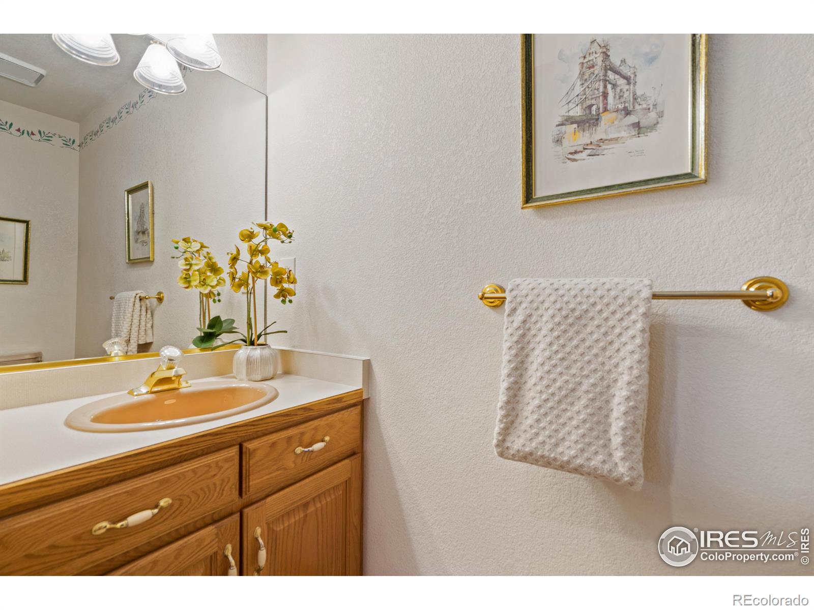 MLS Image #25 for 229  underwood drive,fort collins, Colorado