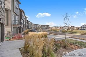 MLS Image #0 for 4285  cyan circle d,castle rock, Colorado