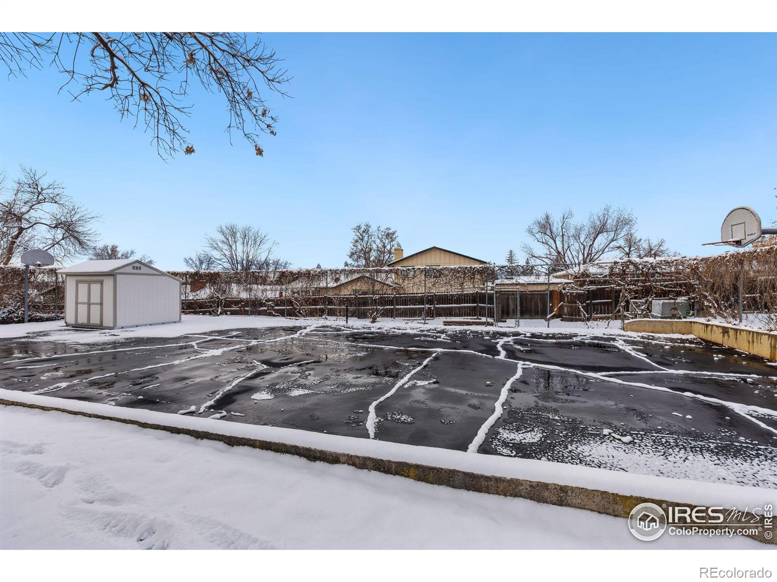 MLS Image #20 for 6  purdue court,longmont, Colorado