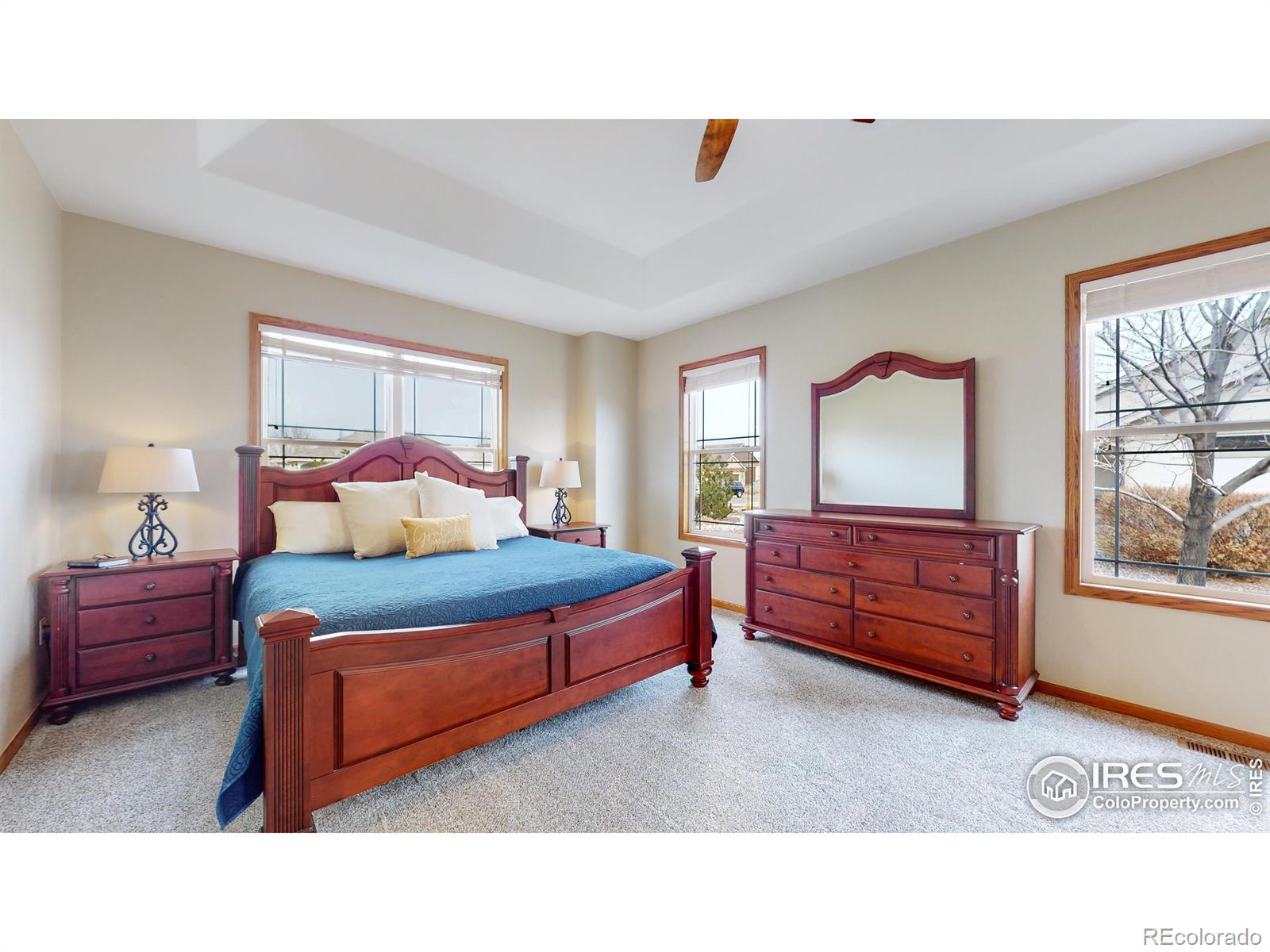 MLS Image #13 for 1410  red fox circle,severance, Colorado