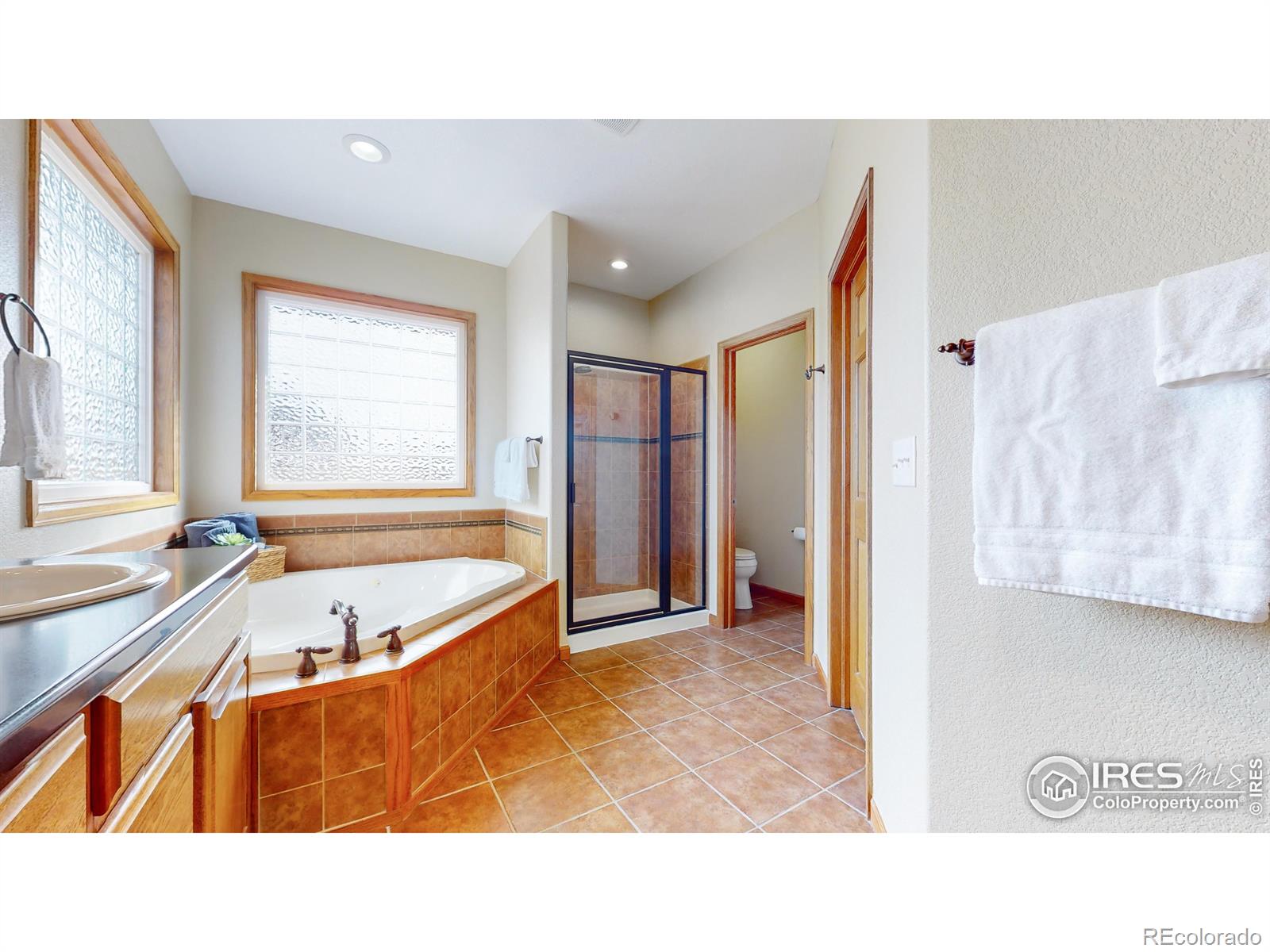 MLS Image #14 for 1410  red fox circle,severance, Colorado