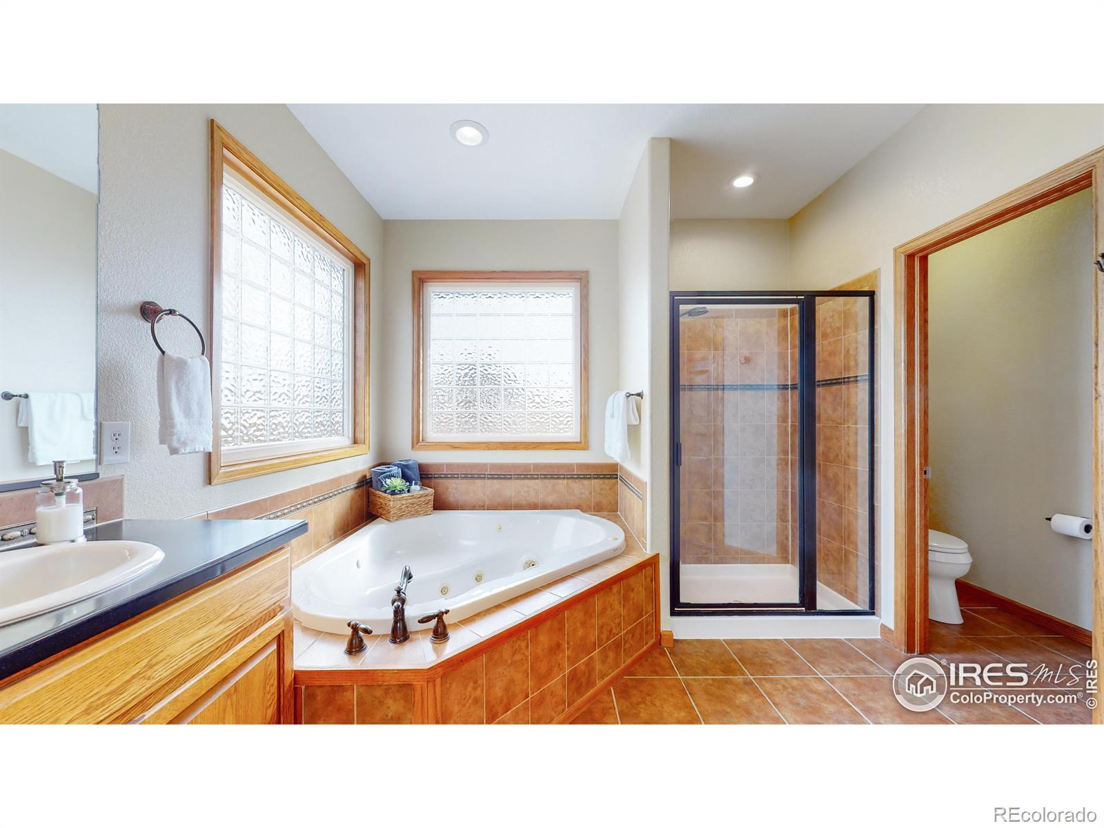 MLS Image #15 for 1410  red fox circle,severance, Colorado