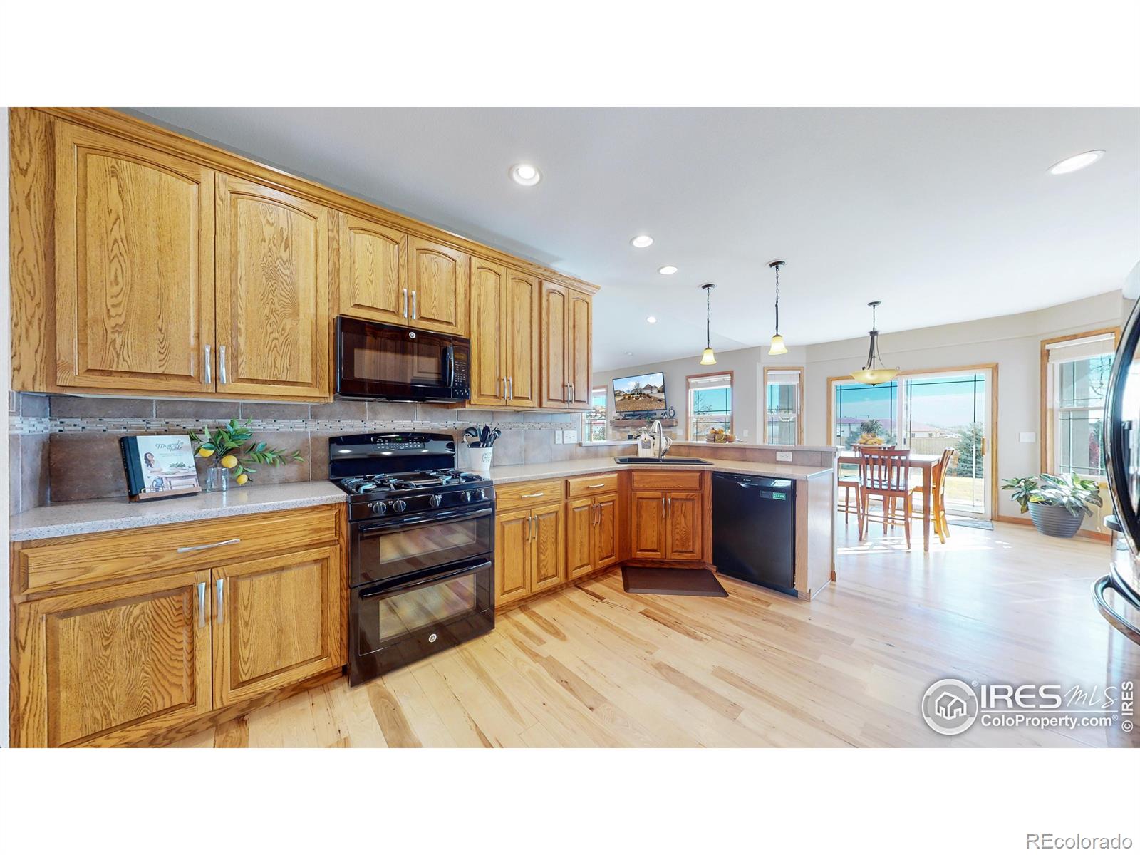 MLS Image #6 for 1410  red fox circle,severance, Colorado