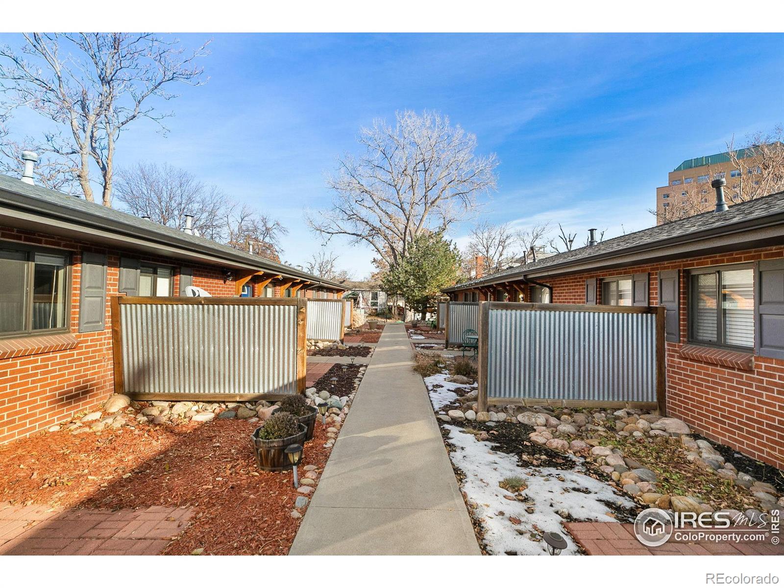 MLS Image #6 for 3323  eliot street,denver, Colorado