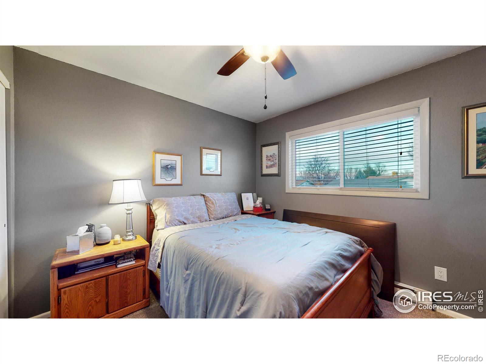 MLS Image #14 for 4429  julian court,fort collins, Colorado