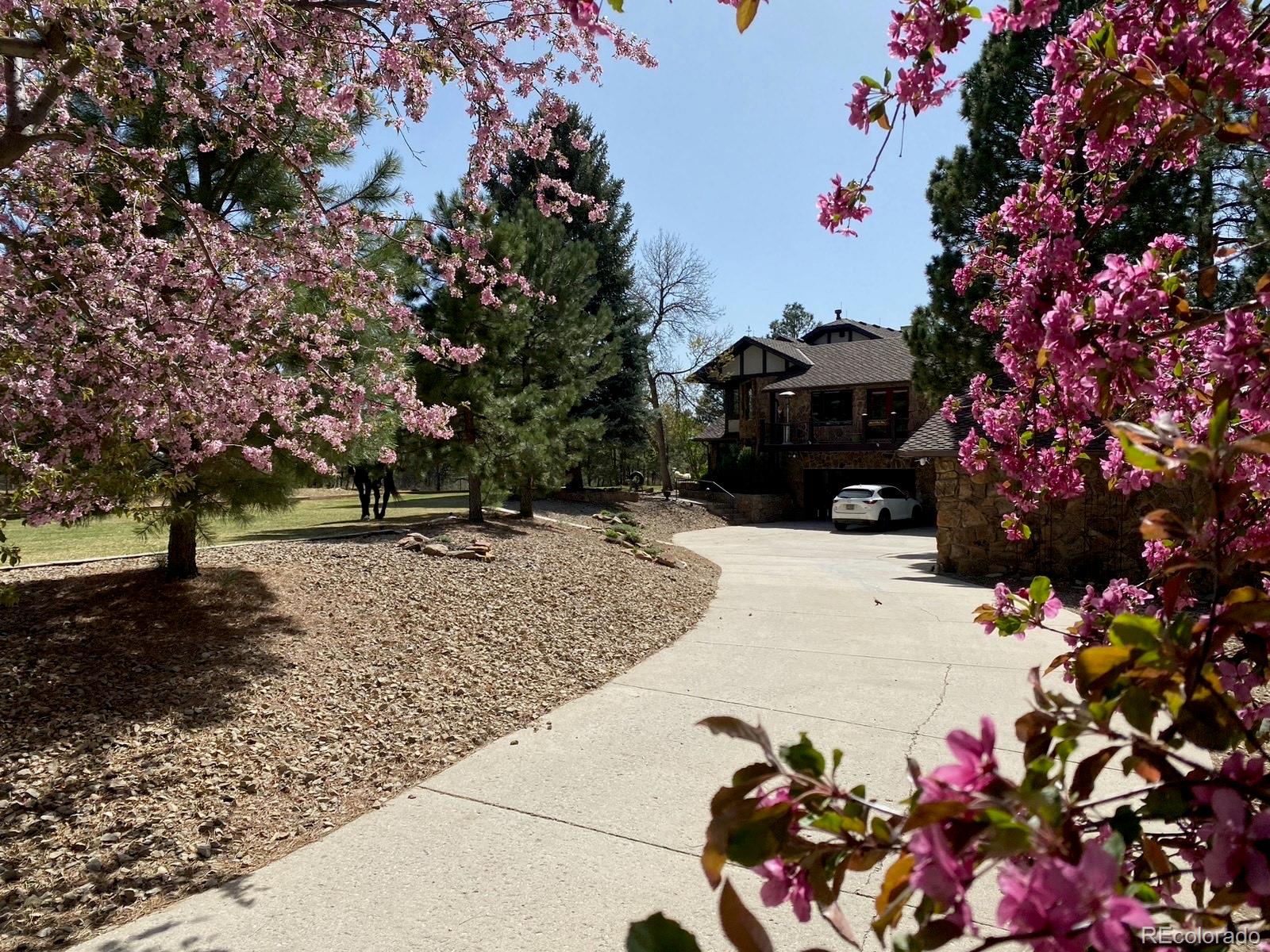 MLS Image #33 for 1269  woodhaven drive,franktown, Colorado